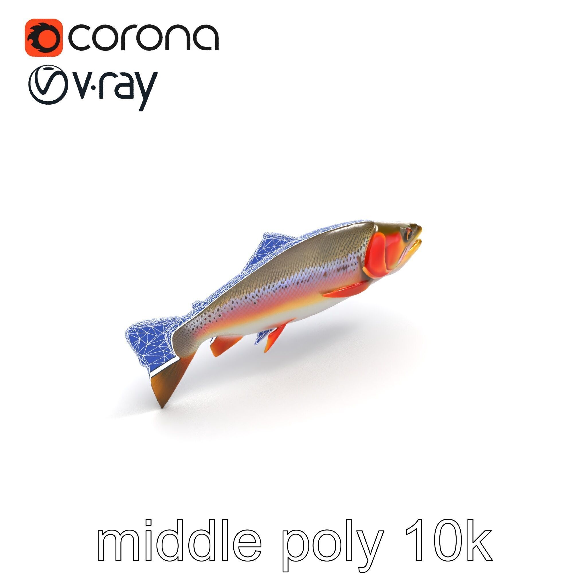 Artistic Cutthroat Trout with Detailed Markings model pack Low-poly 3D model_11