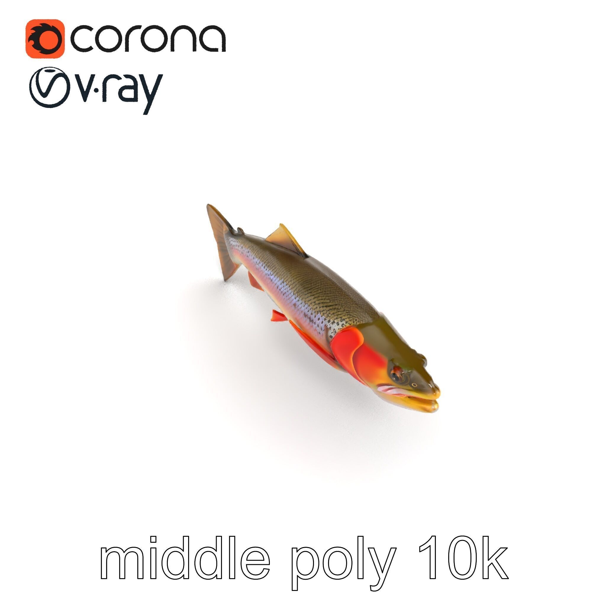 Artistic Cutthroat Trout with Detailed Markings model pack Low-poly 3D model_16