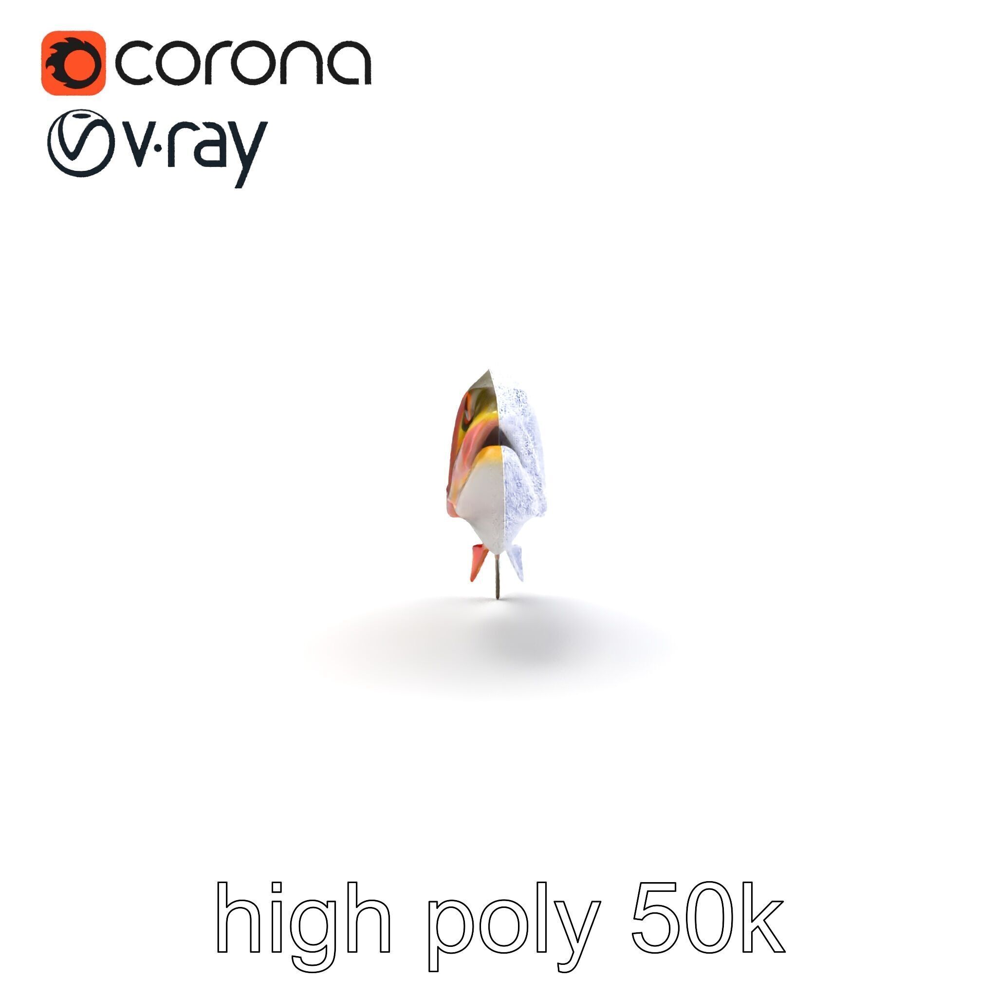 Artistic Cutthroat Trout with Detailed Markings model pack Low-poly 3D model_29