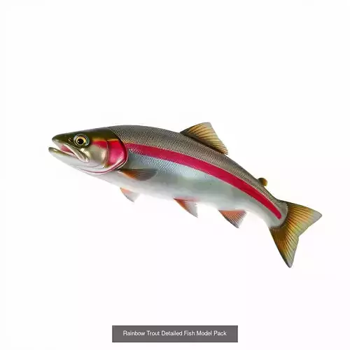 Diverse Trout 3D Models Pack
