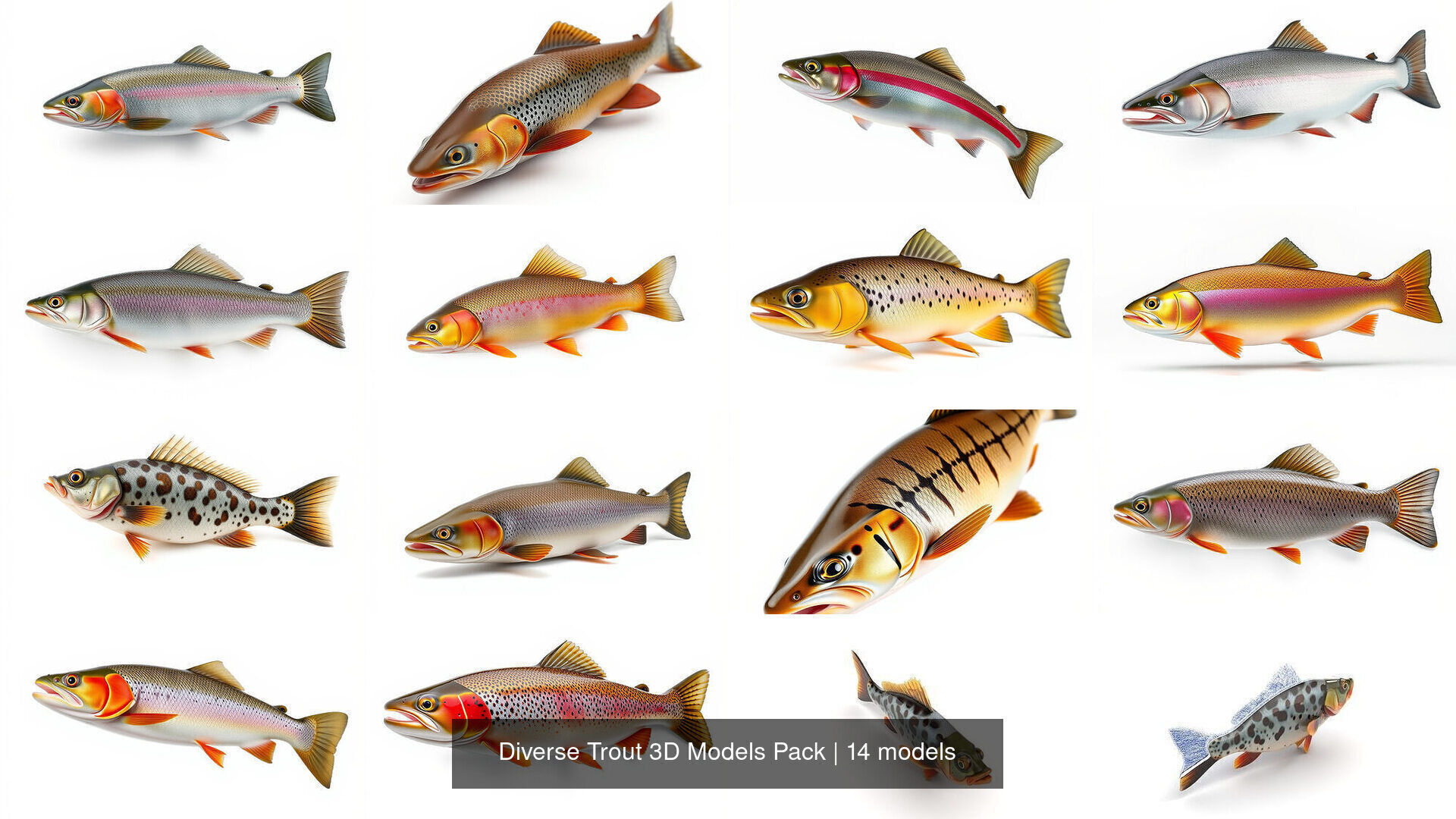 Diverse Trout 3D Models Pack 3D Model Collection_11