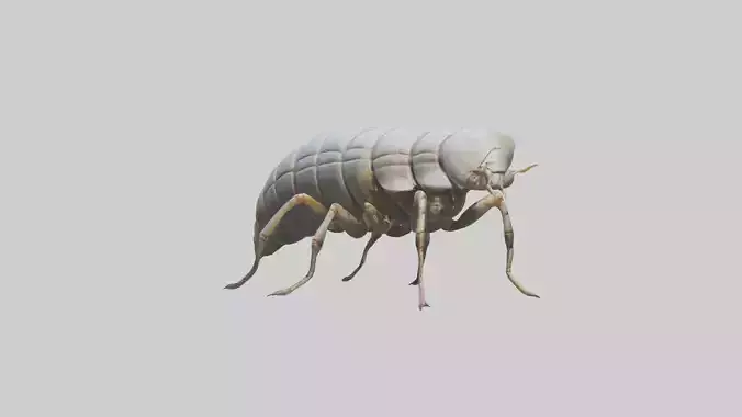 Isopod walking model Low-poly 3D model