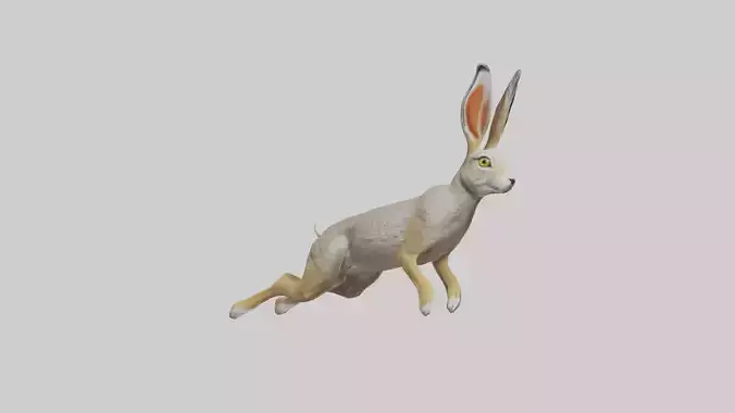 Jackrabbit leaping model