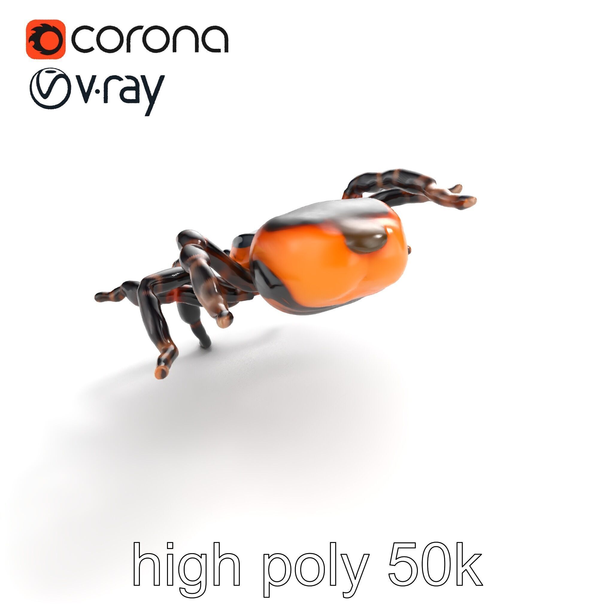 Realistic Tarantula Spider Model Pack Low-poly 3D model_17