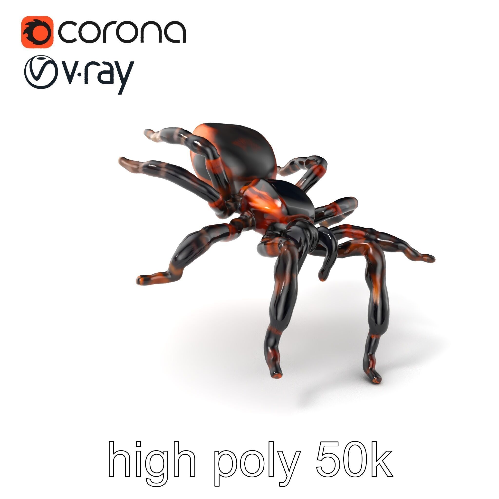 Realistic Tarantula Spider Model Pack Low-poly 3D model_2
