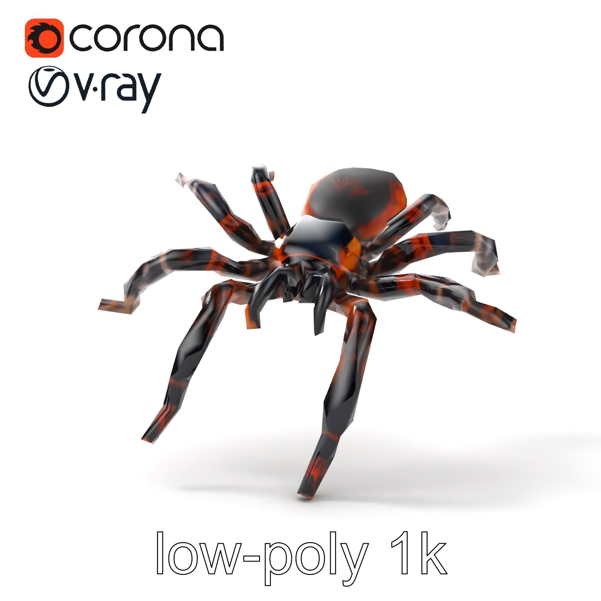 Realistic Tarantula Spider Model Pack Low-poly 3D model_12