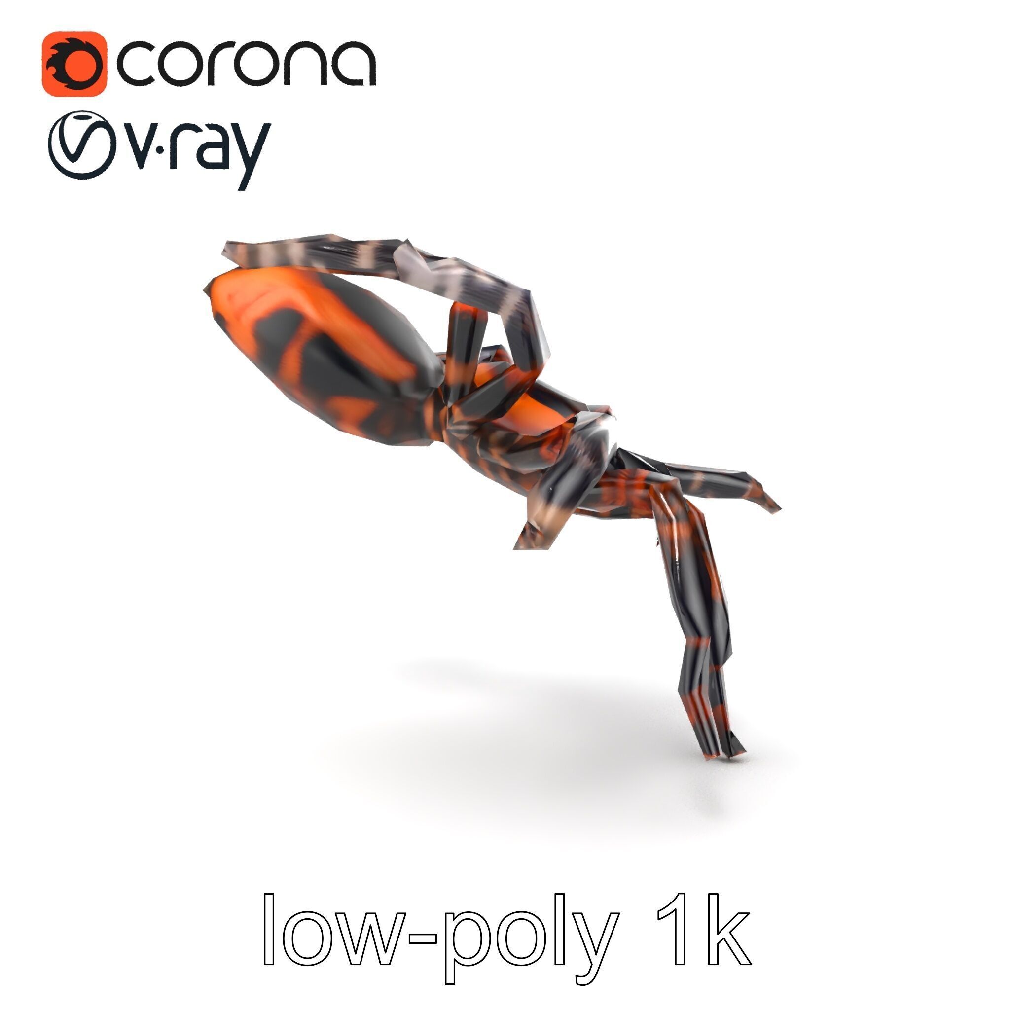 Realistic Tarantula Spider Model Pack Low-poly 3D model_19
