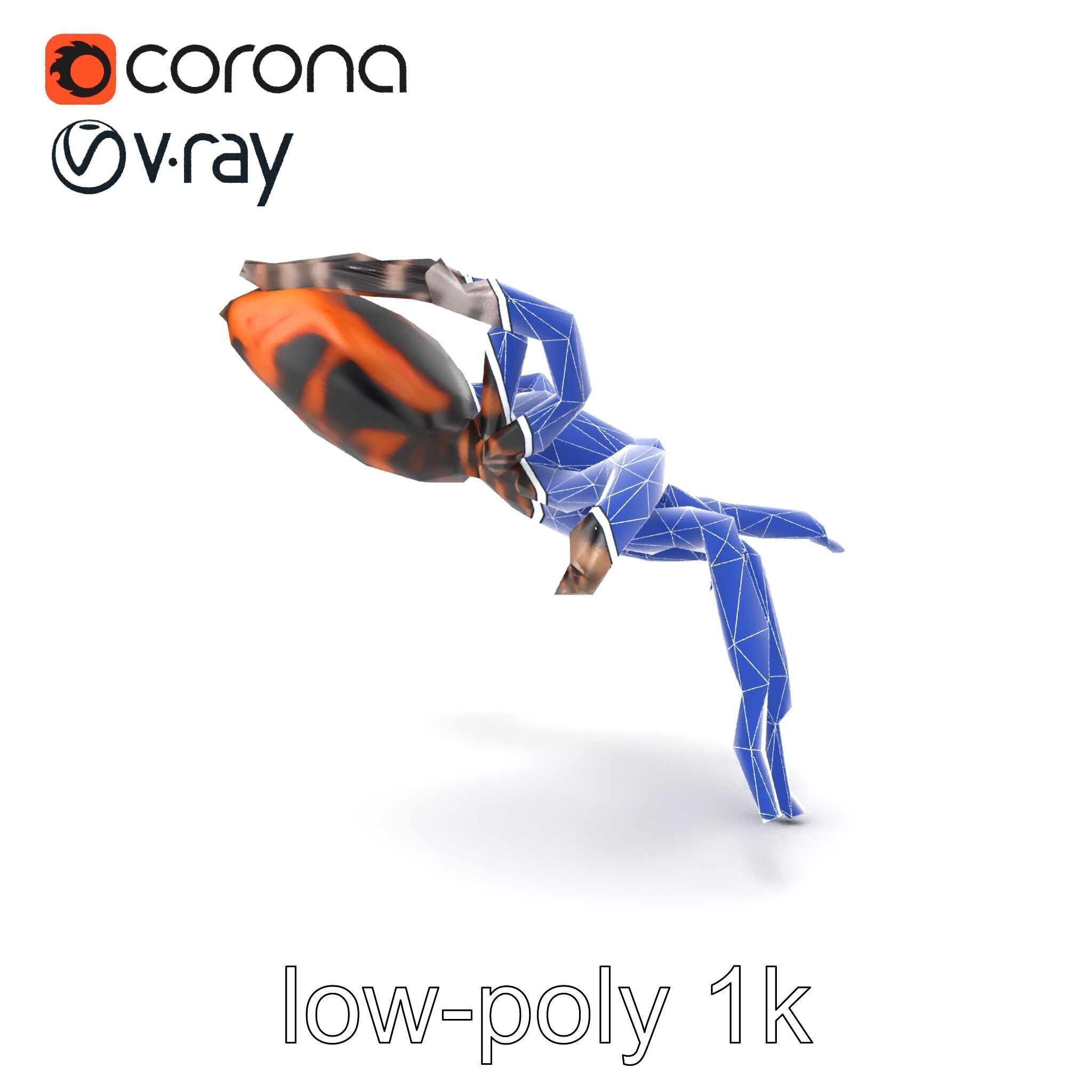 Realistic Tarantula Spider Model Pack Low-poly 3D model_22