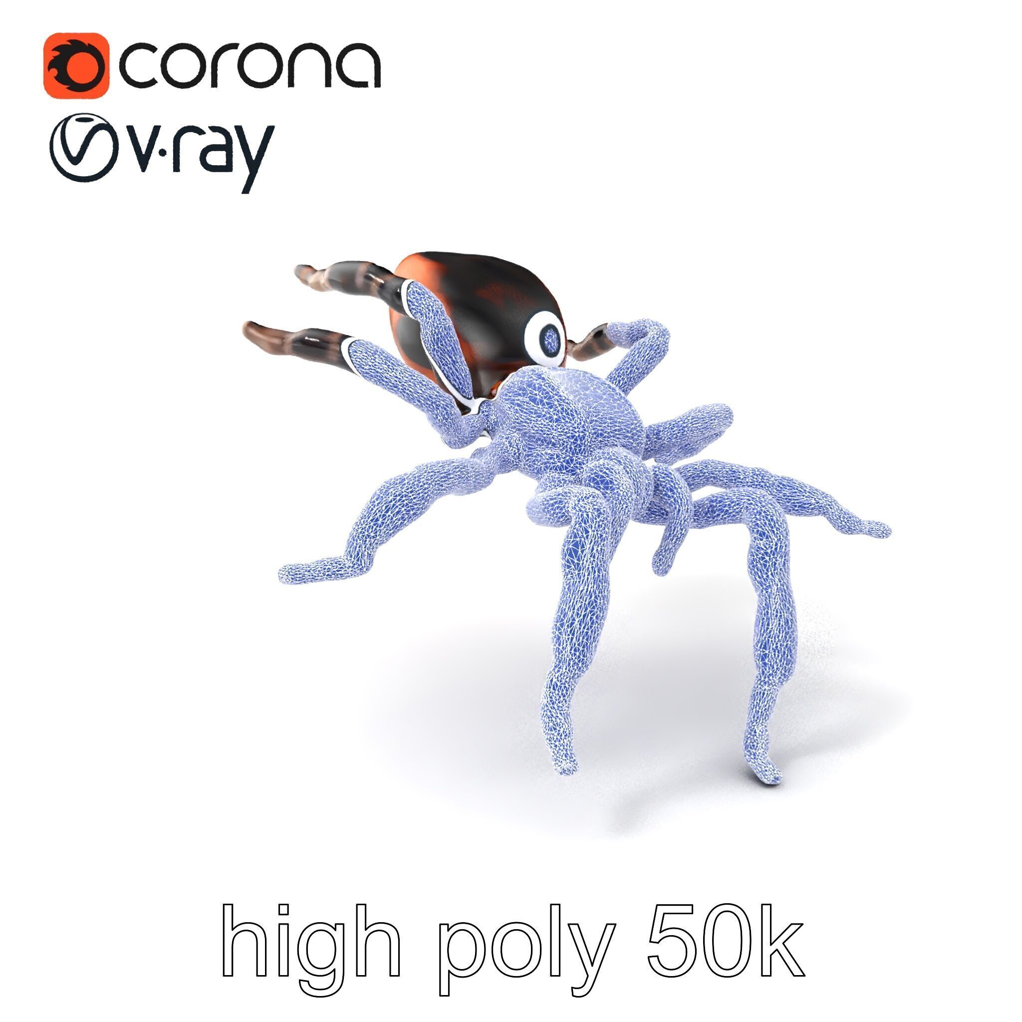 Realistic Tarantula Spider Model Pack Low-poly 3D model_10