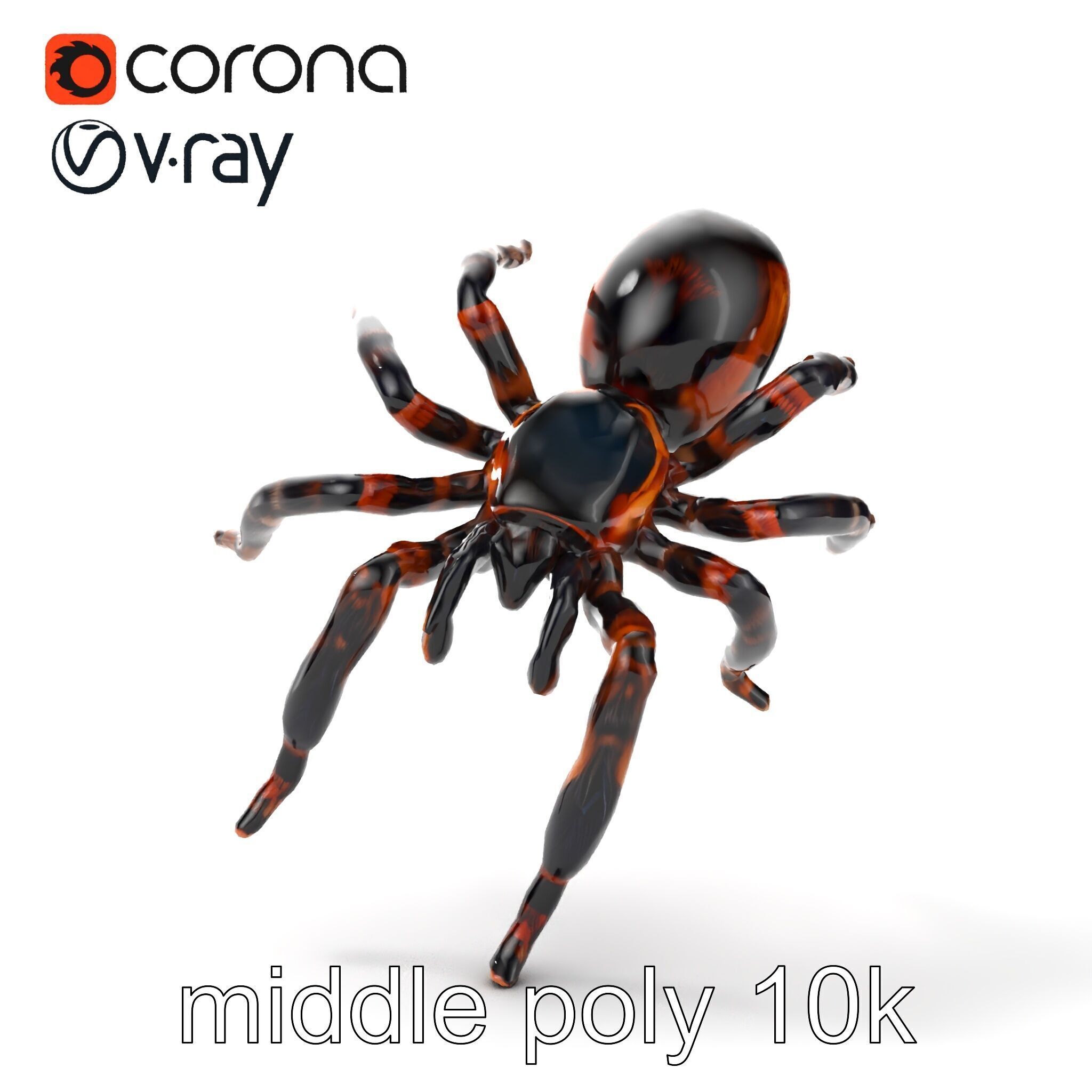 Realistic Tarantula Spider Model Pack Low-poly 3D model_18