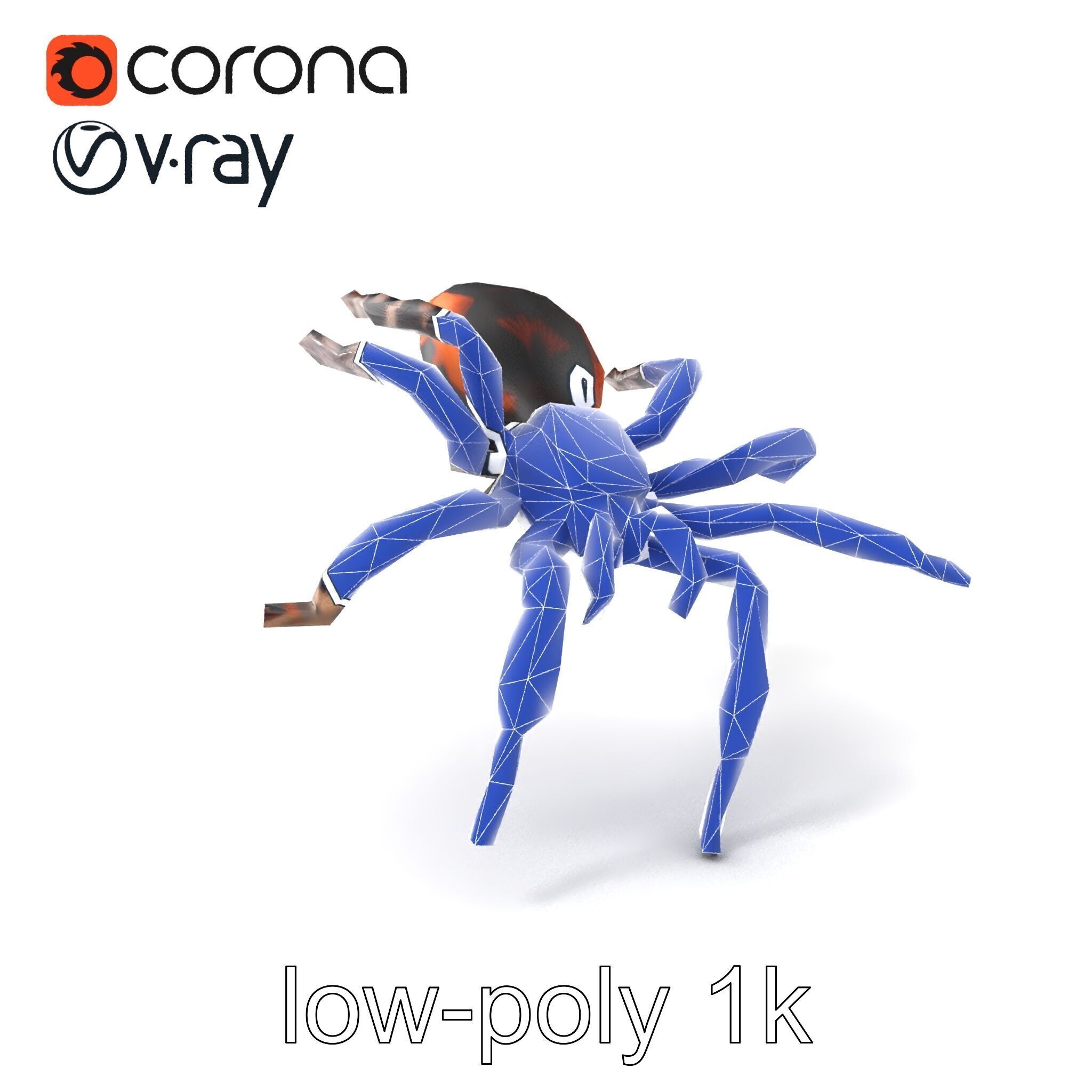 Realistic Tarantula Spider Model Pack Low-poly 3D model_7