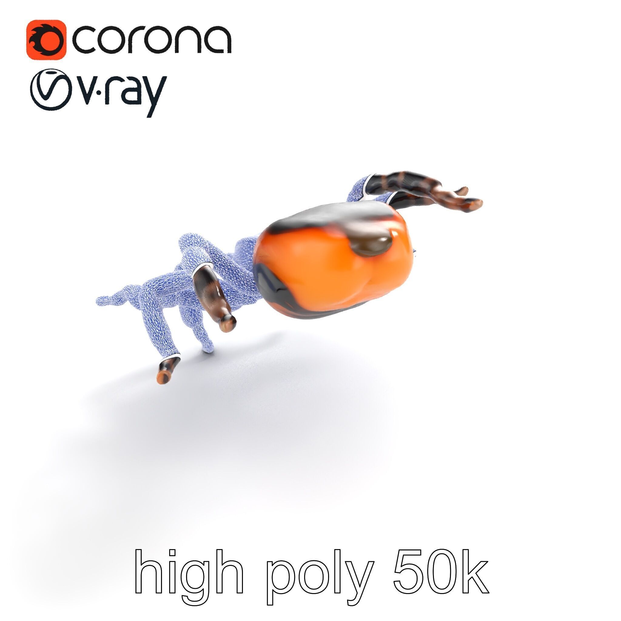 Realistic Tarantula Spider Model Pack Low-poly 3D model_30