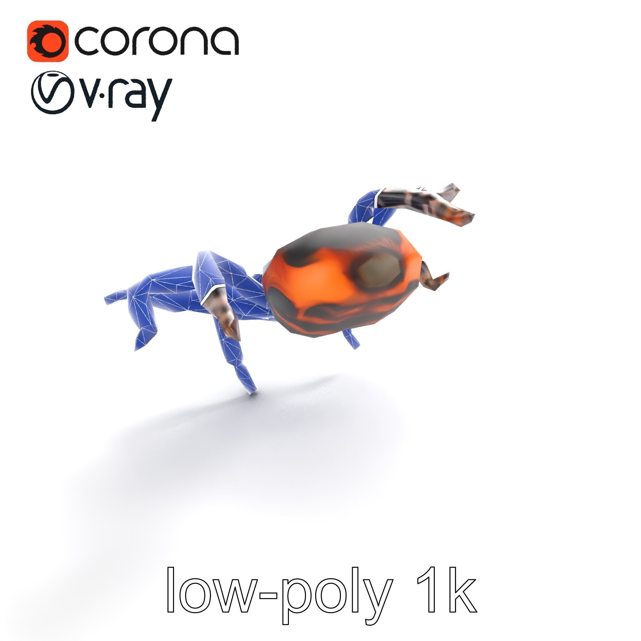 Realistic Tarantula Spider Model Pack Low-poly 3D model_11