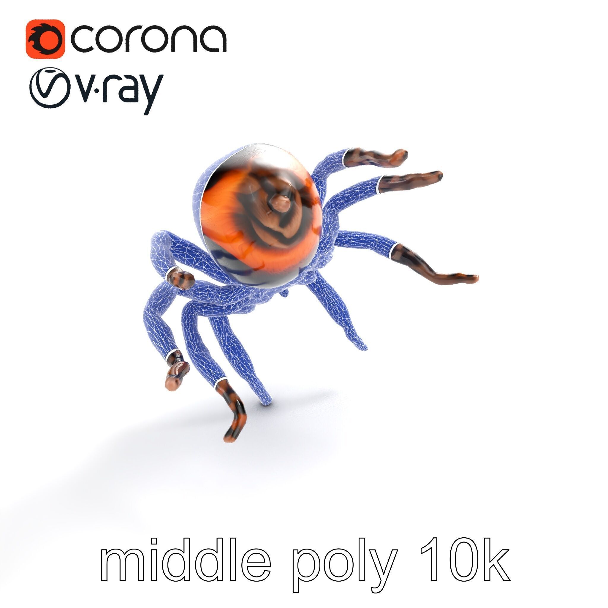 Realistic Tarantula Spider Model Pack Low-poly 3D model_16