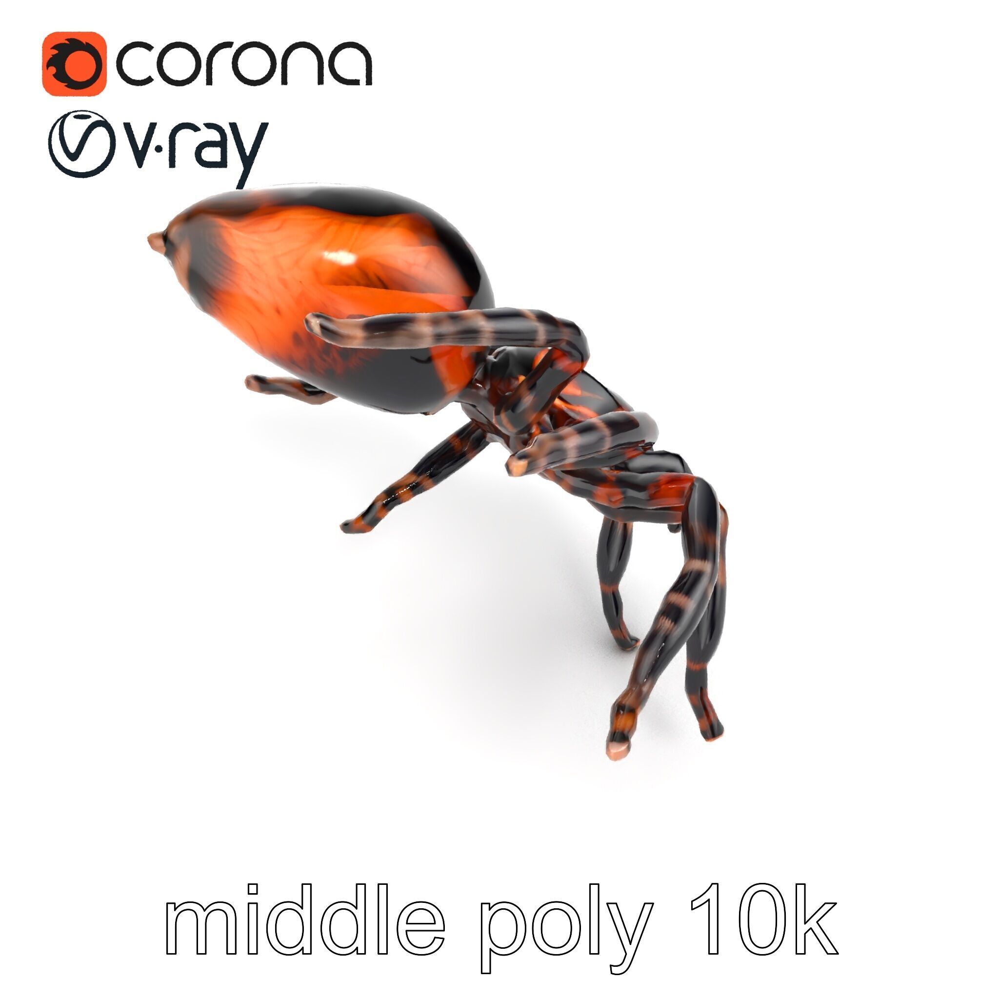 Realistic Tarantula Spider Model Pack Low-poly 3D model_25