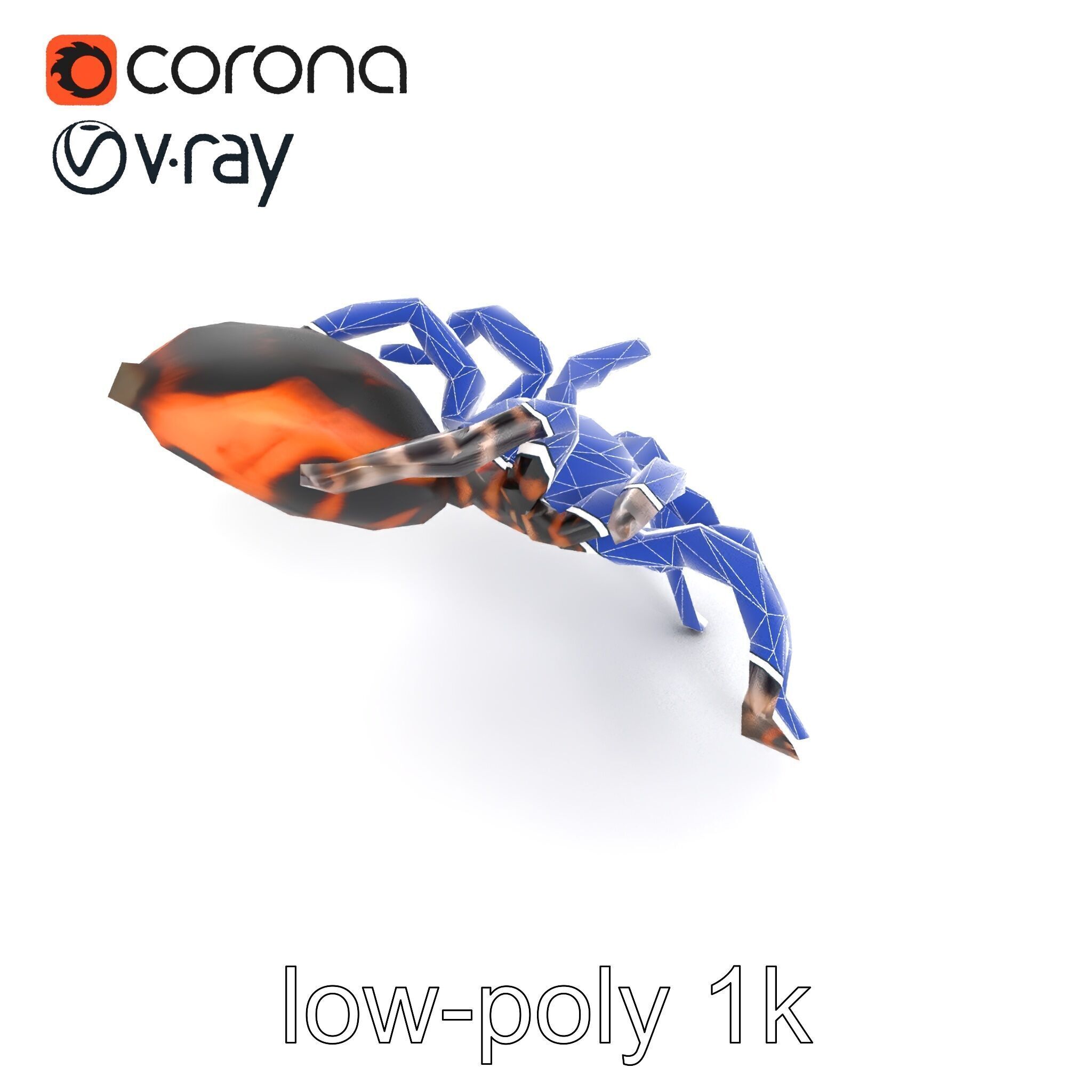 Realistic Tarantula Spider Model Pack Low-poly 3D model_26