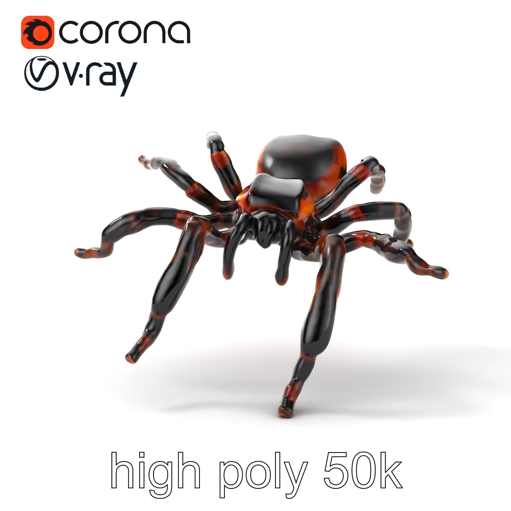 Realistic Tarantula Spider Model Pack Low-poly 3D model_15