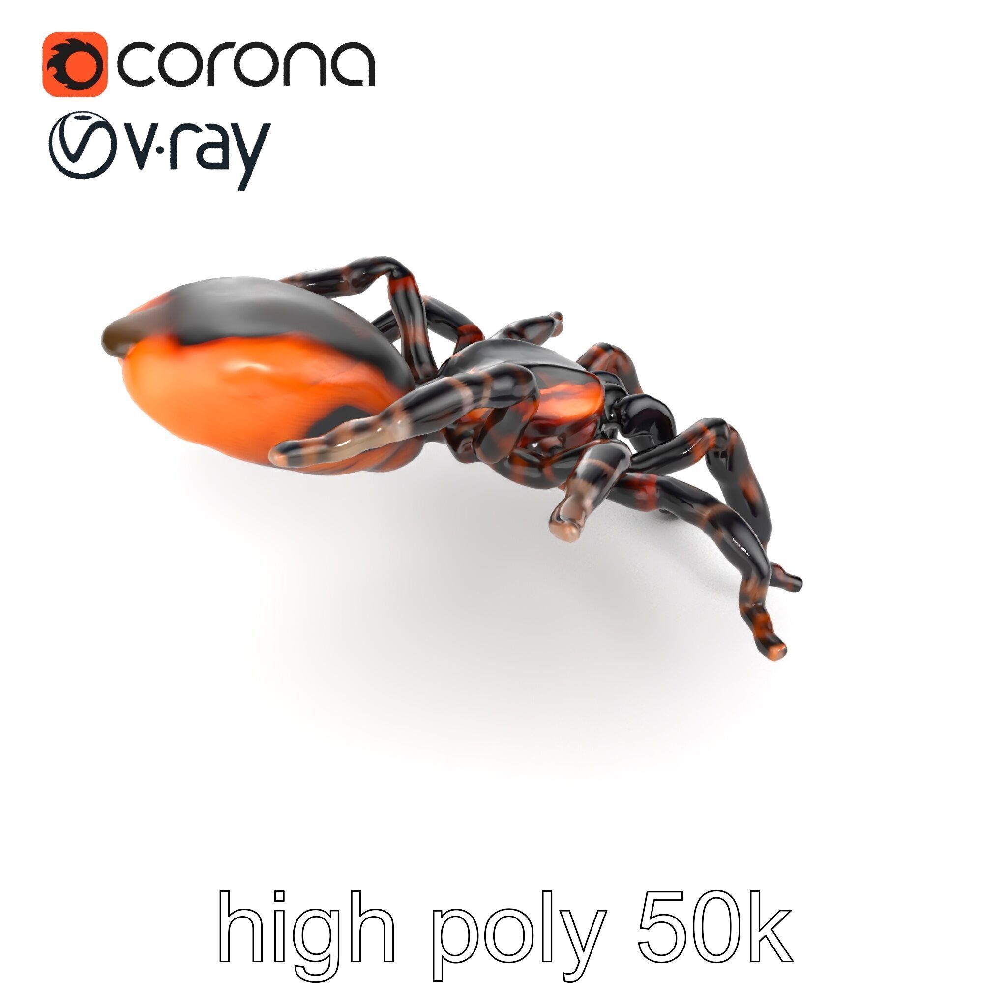 Realistic Tarantula Spider Model Pack Low-poly 3D model_23