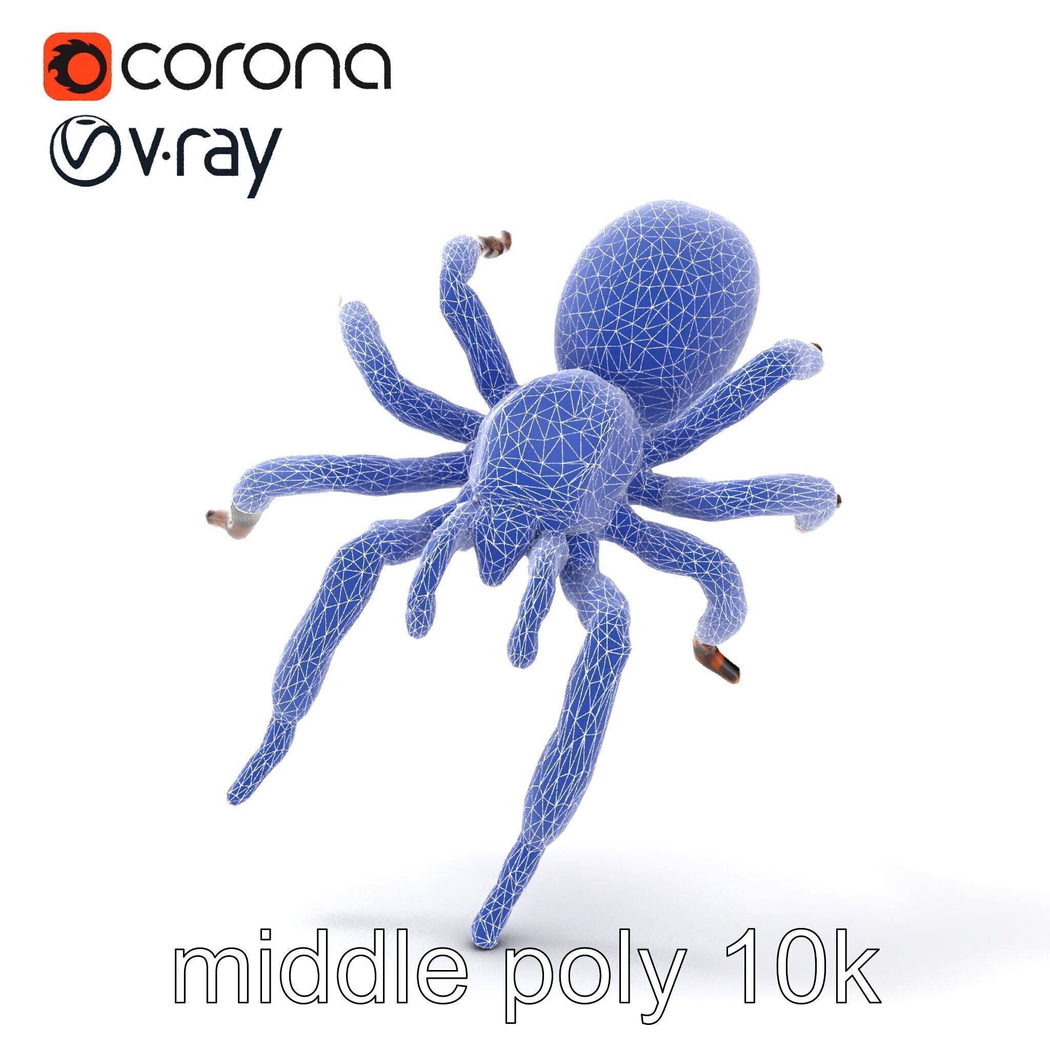 Realistic Tarantula Spider Model Pack Low-poly 3D model_21