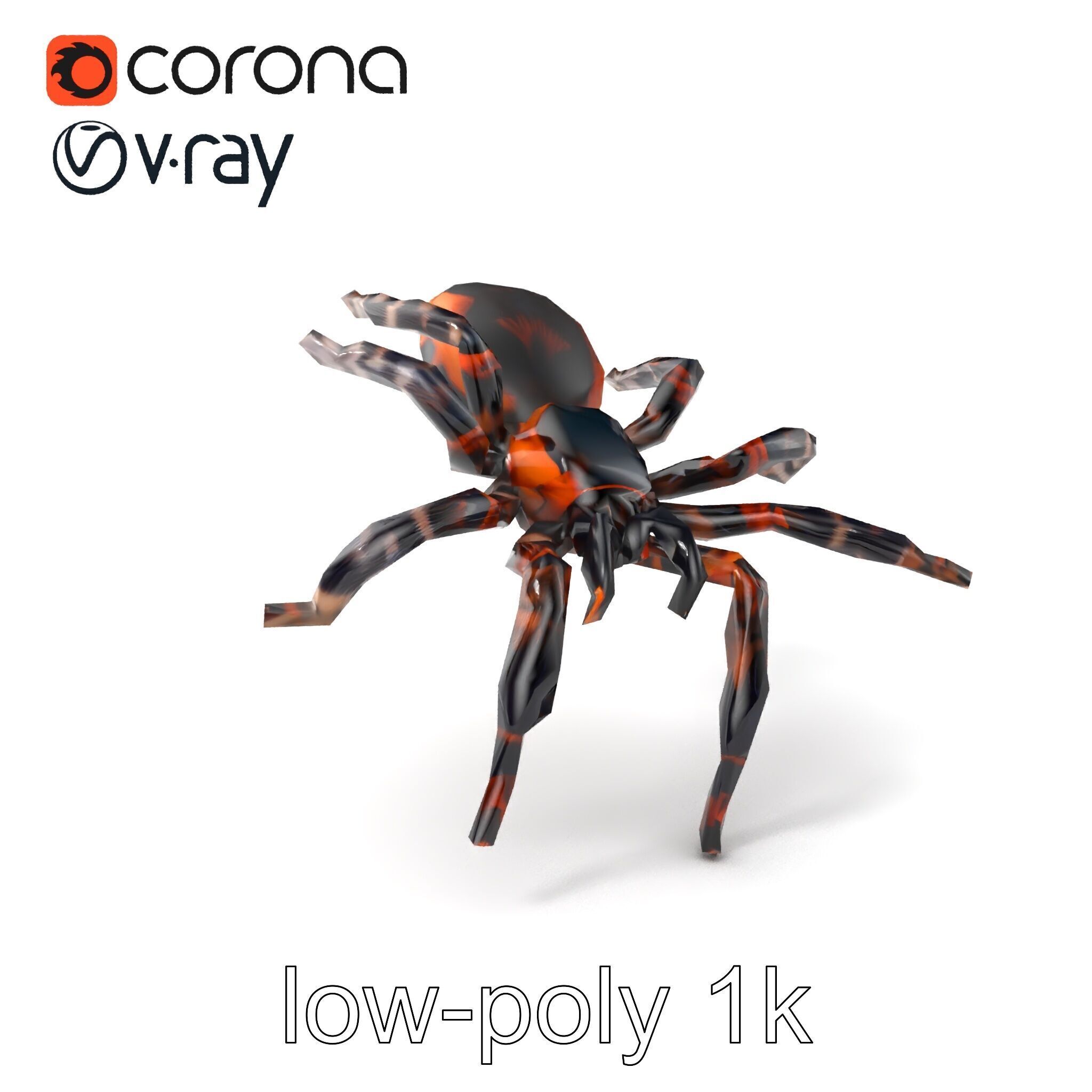 Realistic Tarantula Spider Model Pack Low-poly 3D model_5