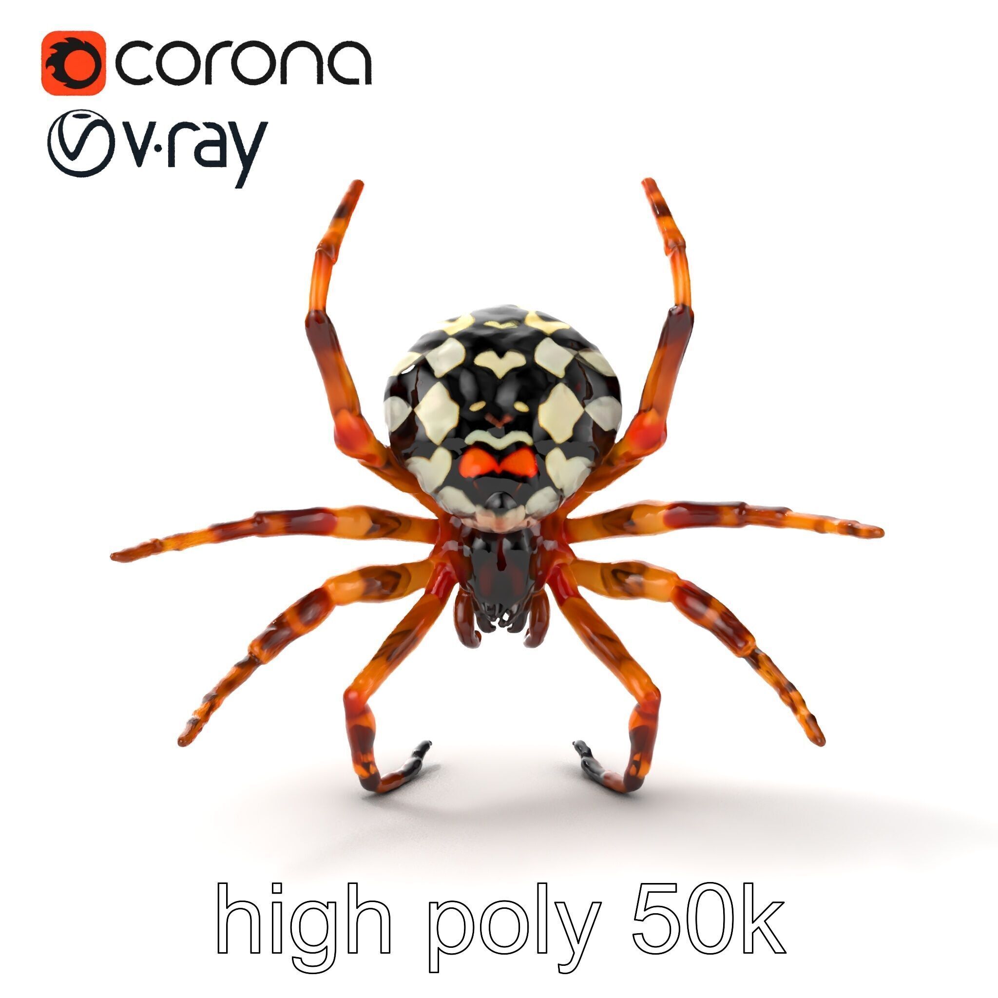Orb-Weaver Spider Kaleidoscopic Colors model pack Low-poly 3D model_21
