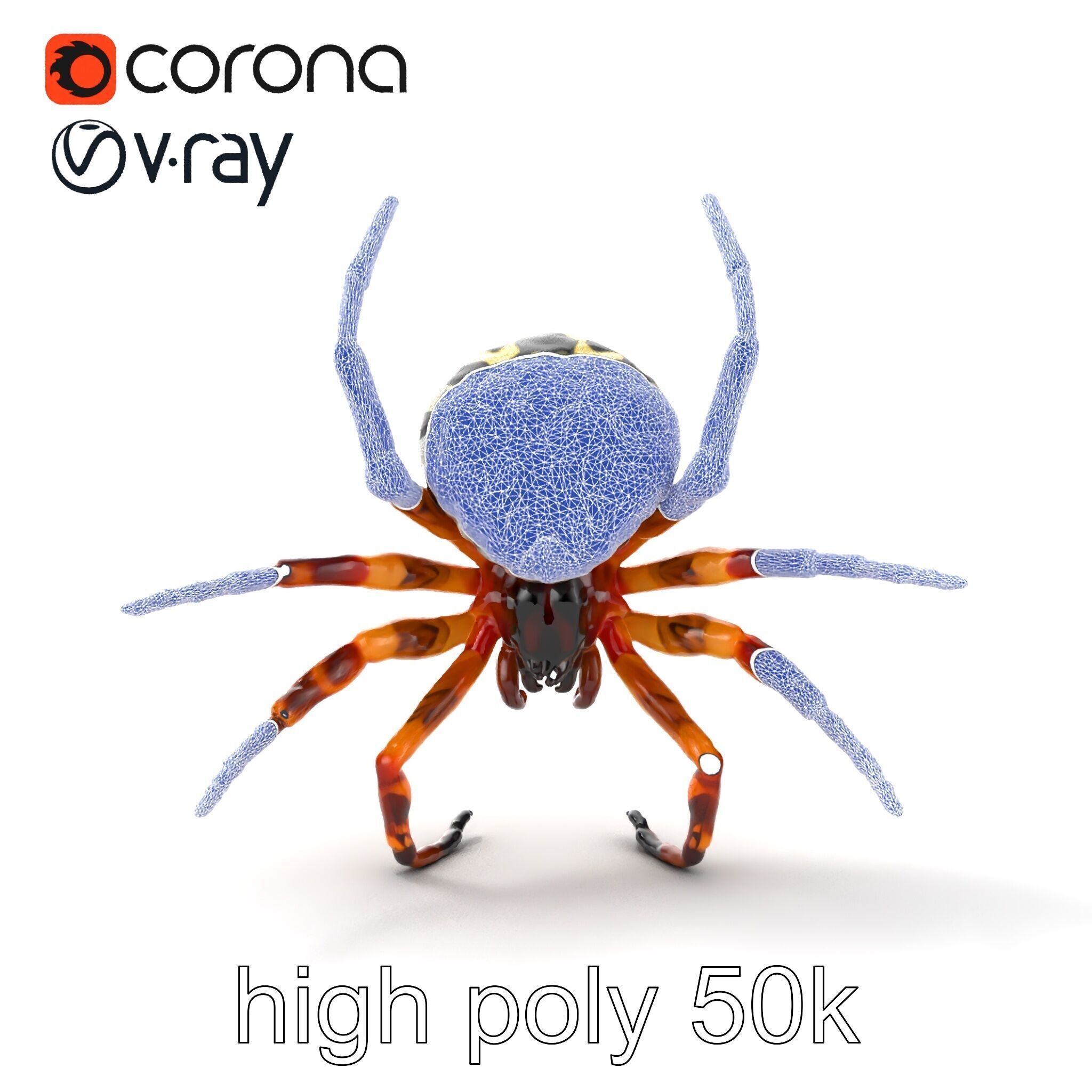 Orb-Weaver Spider Kaleidoscopic Colors model pack Low-poly 3D model_16