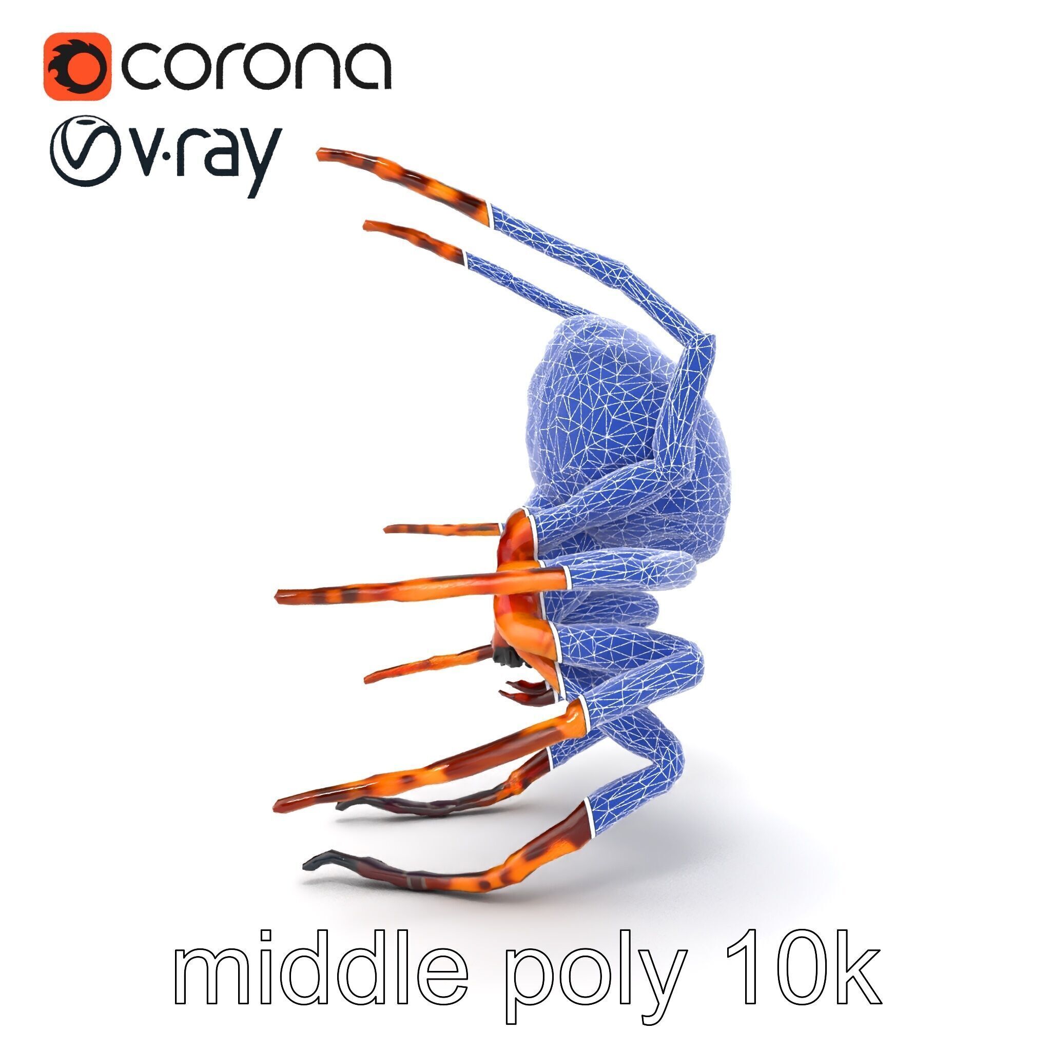 Orb-Weaver Spider Kaleidoscopic Colors model pack Low-poly 3D model_27