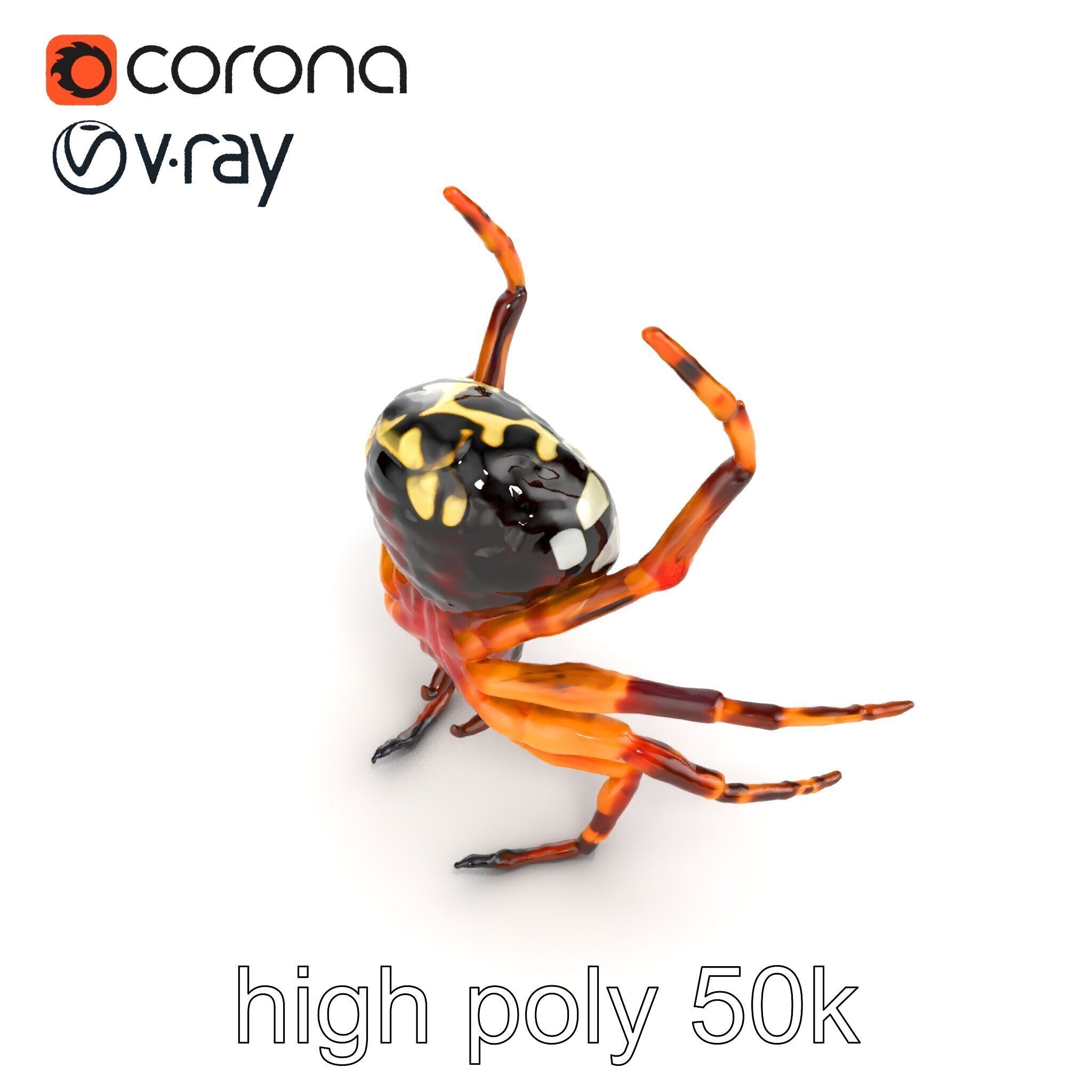 Orb-Weaver Spider Kaleidoscopic Colors model pack Low-poly 3D model_12