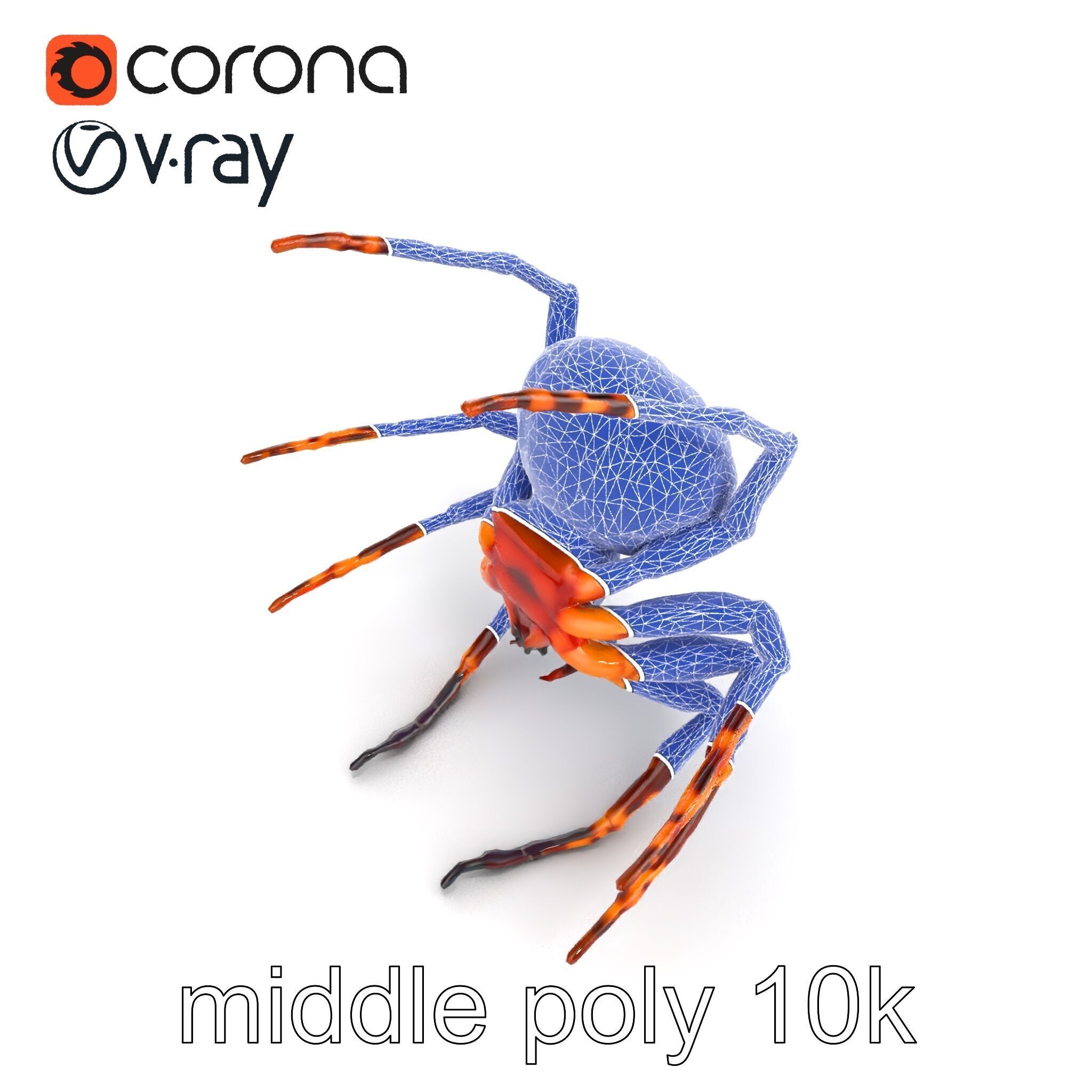 Orb-Weaver Spider Kaleidoscopic Colors model pack Low-poly 3D model_26