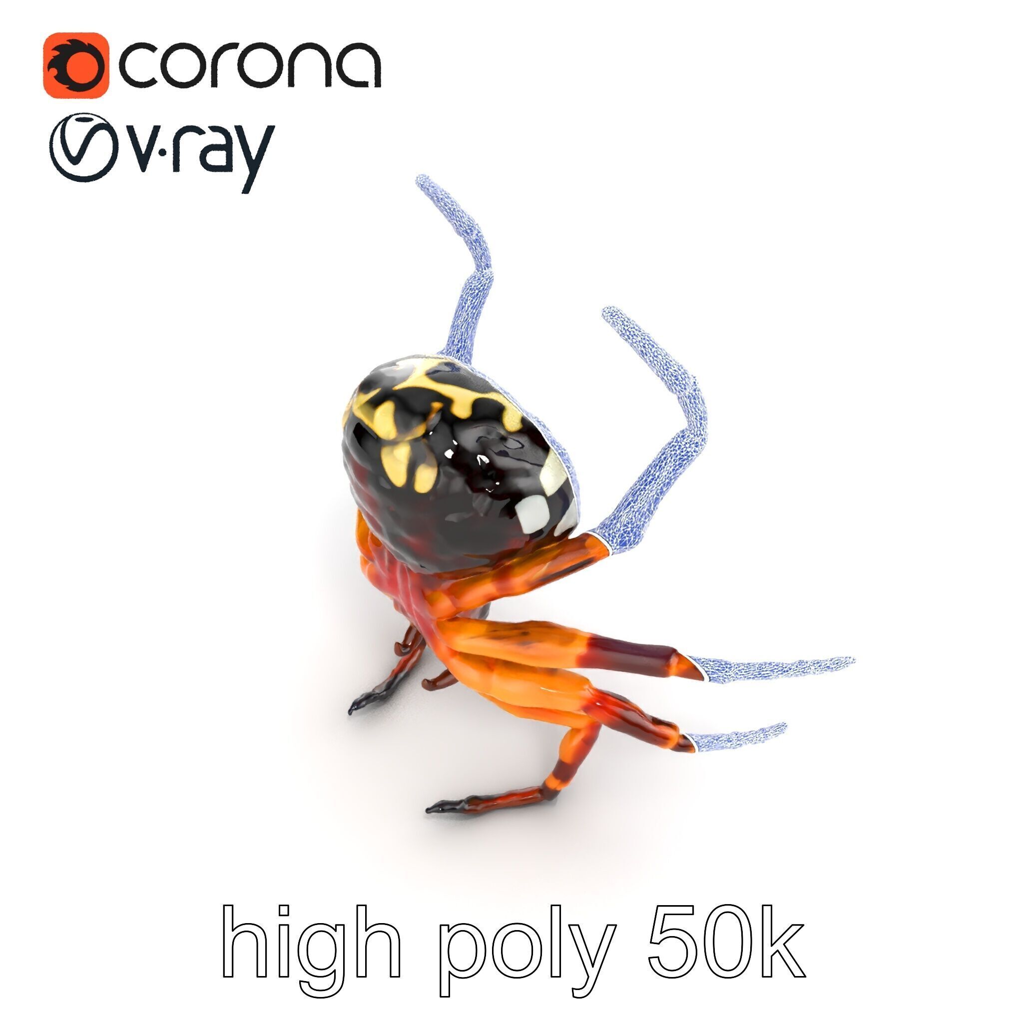 Orb-Weaver Spider Kaleidoscopic Colors model pack Low-poly 3D model_20