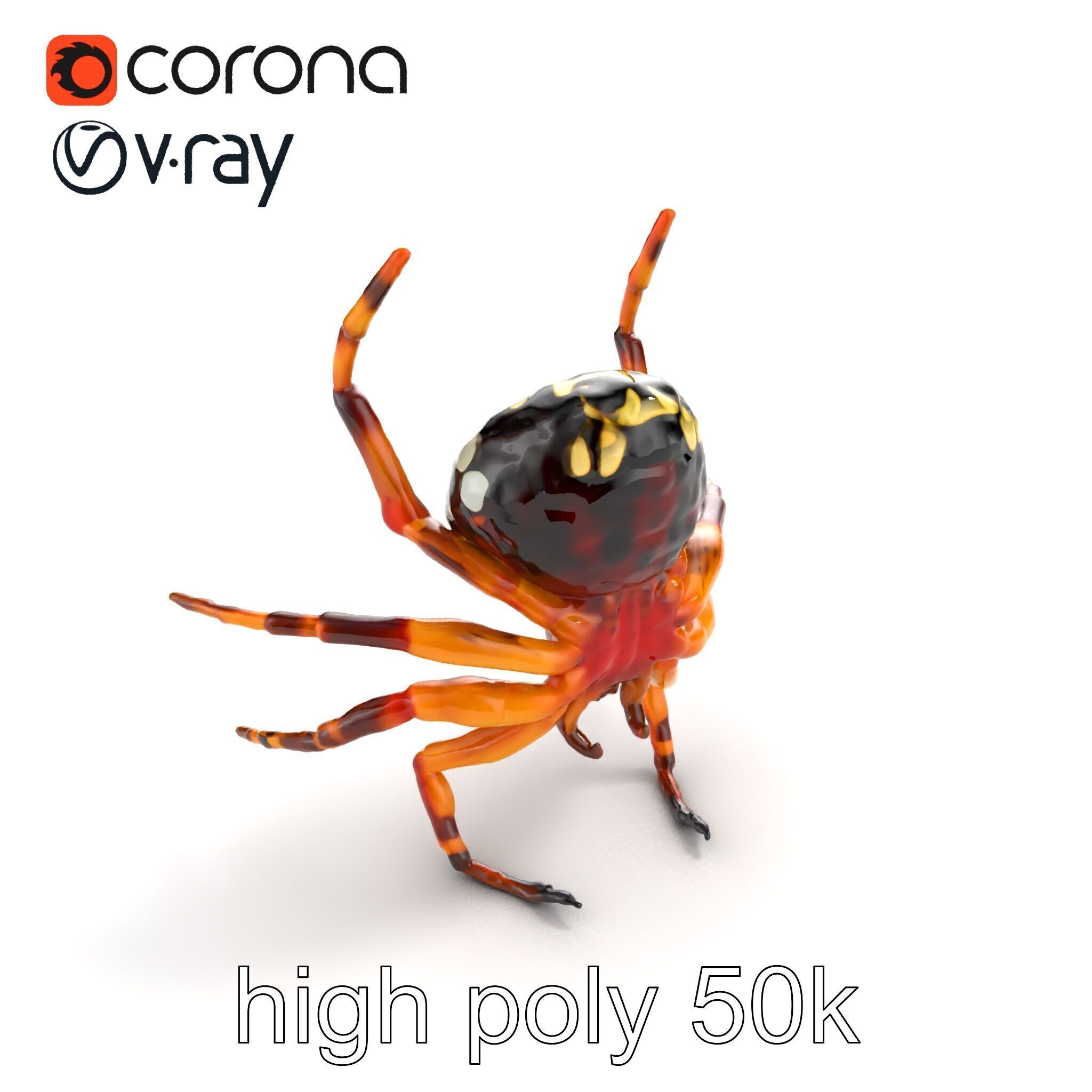 Orb-Weaver Spider Kaleidoscopic Colors model pack Low-poly 3D model_13