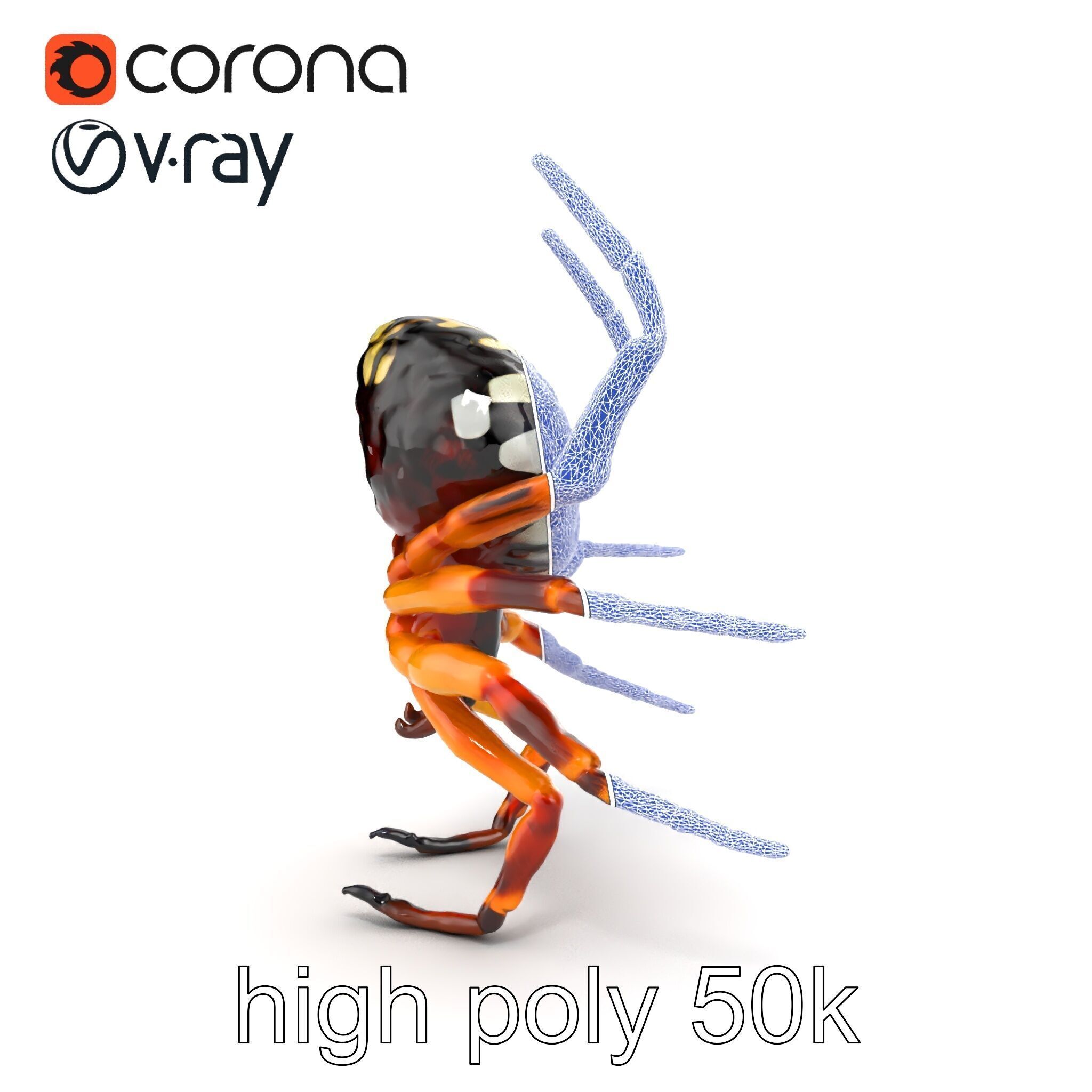 Orb-Weaver Spider Kaleidoscopic Colors model pack Low-poly 3D model_25