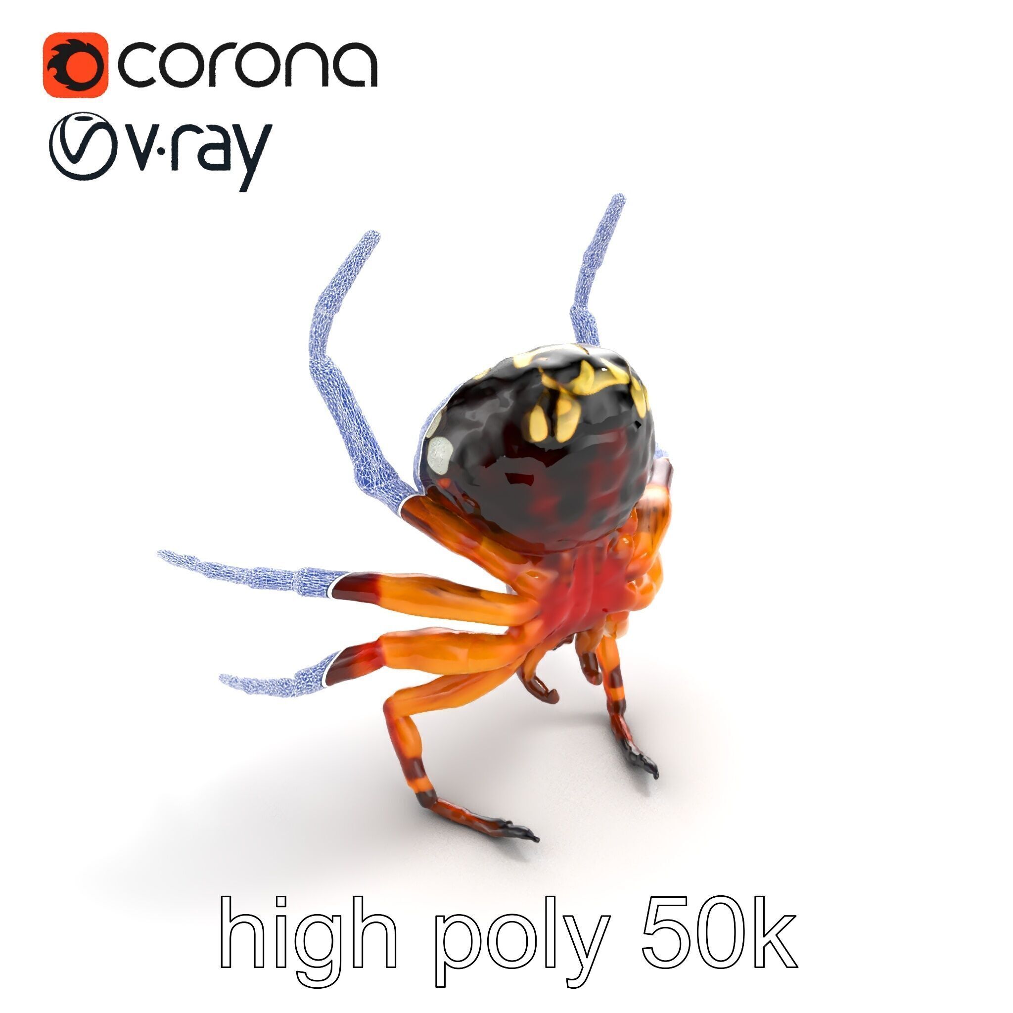 Orb-Weaver Spider Kaleidoscopic Colors model pack Low-poly 3D model_30