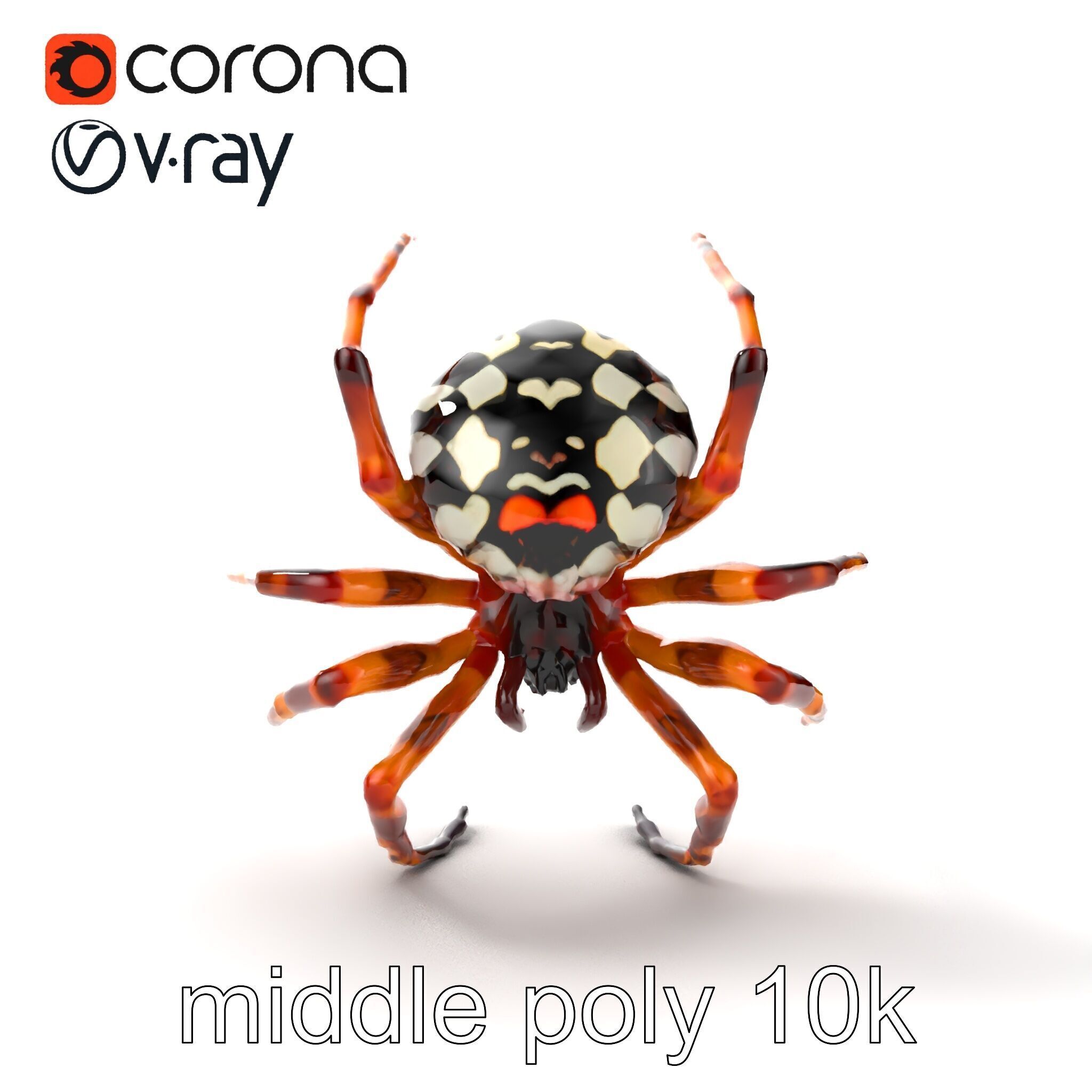 Orb-Weaver Spider Kaleidoscopic Colors model pack Low-poly 3D model_18