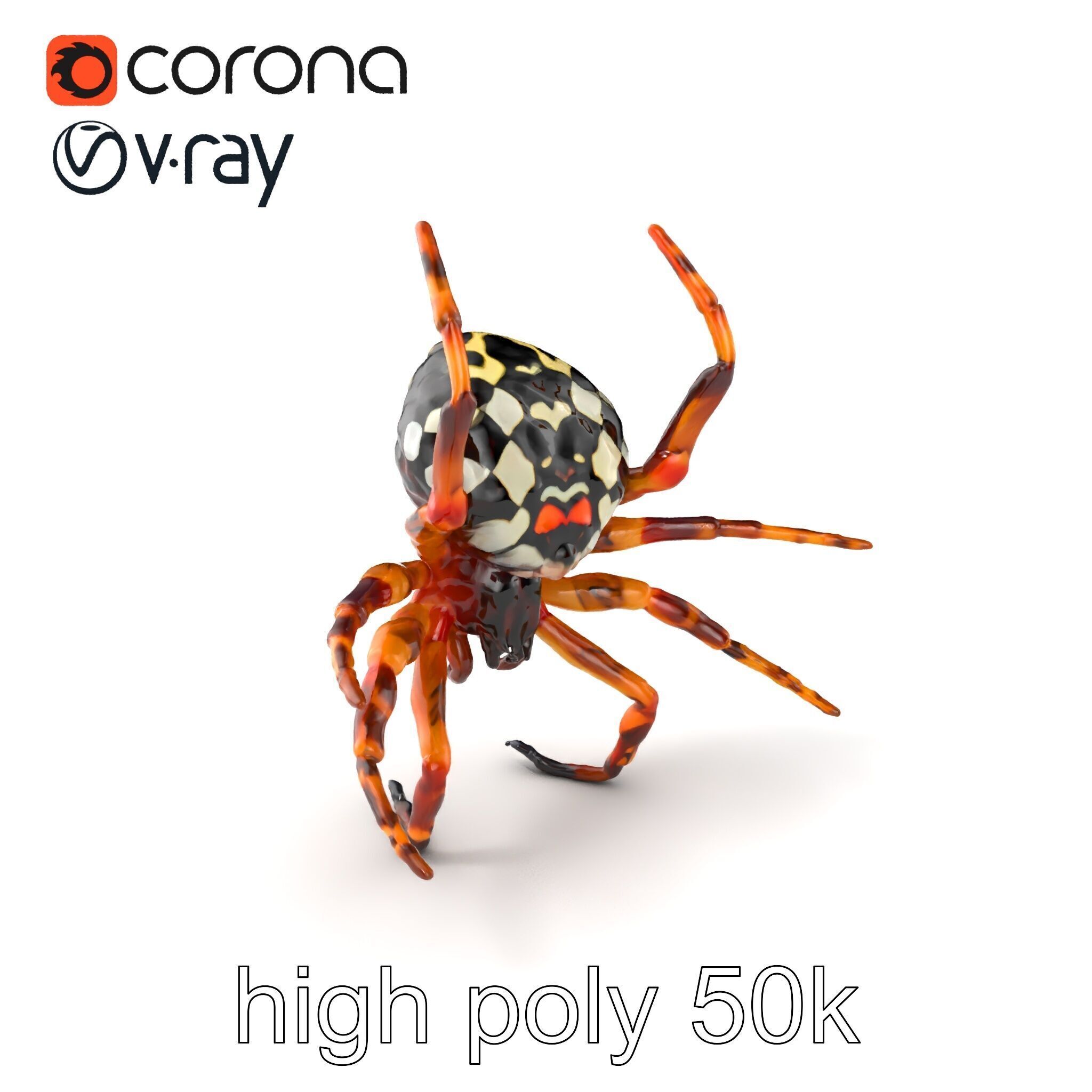 Orb-Weaver Spider Kaleidoscopic Colors model pack Low-poly 3D model_2