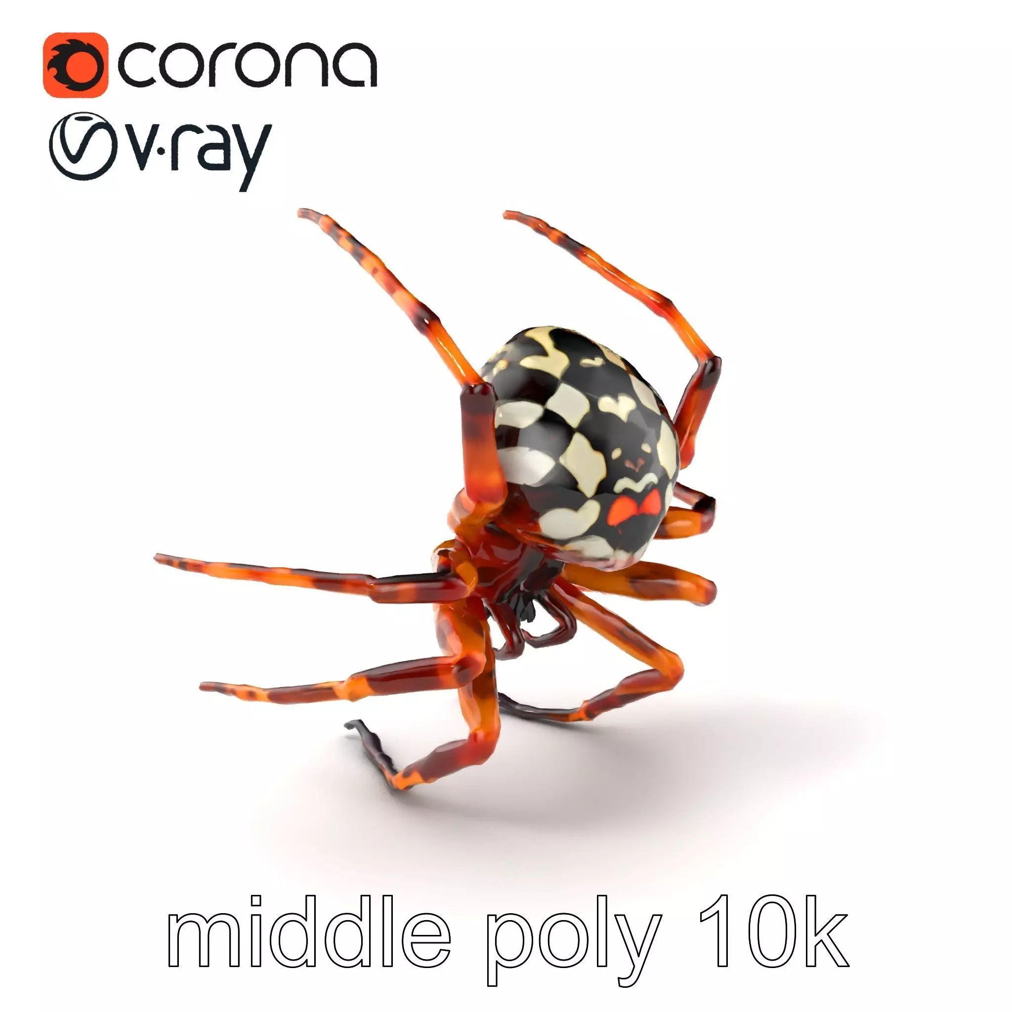 Orb-Weaver Spider Kaleidoscopic Colors model pack Low-poly 3D model_0