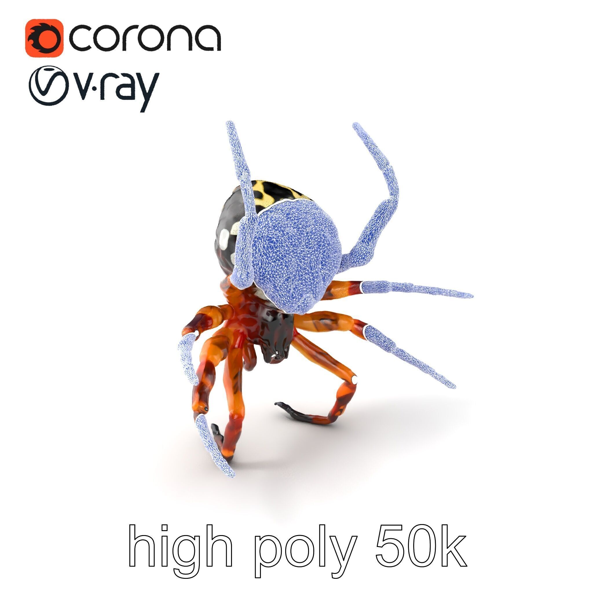 Orb-Weaver Spider Kaleidoscopic Colors model pack Low-poly 3D model_10