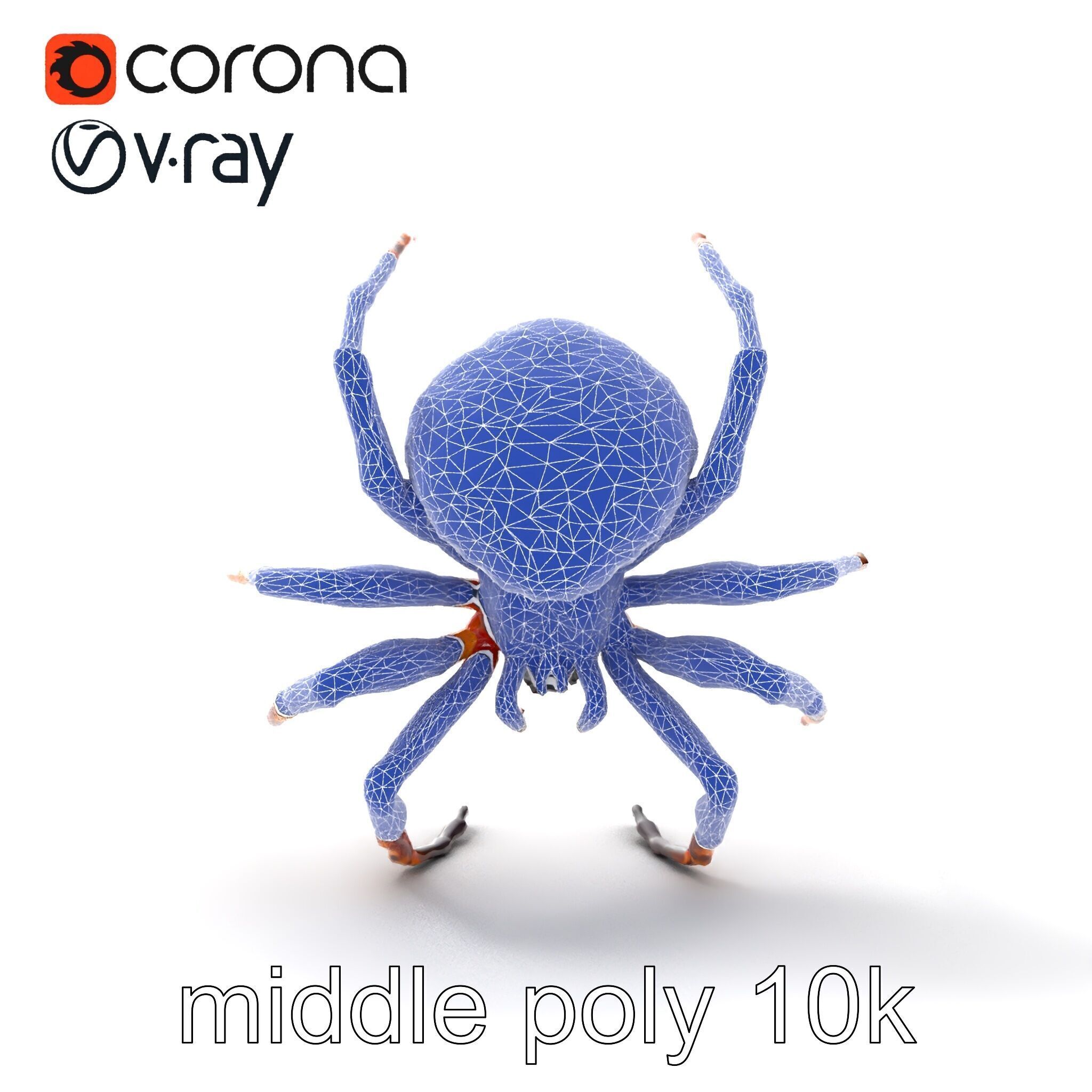 Orb-Weaver Spider Kaleidoscopic Colors model pack Low-poly 3D model_24