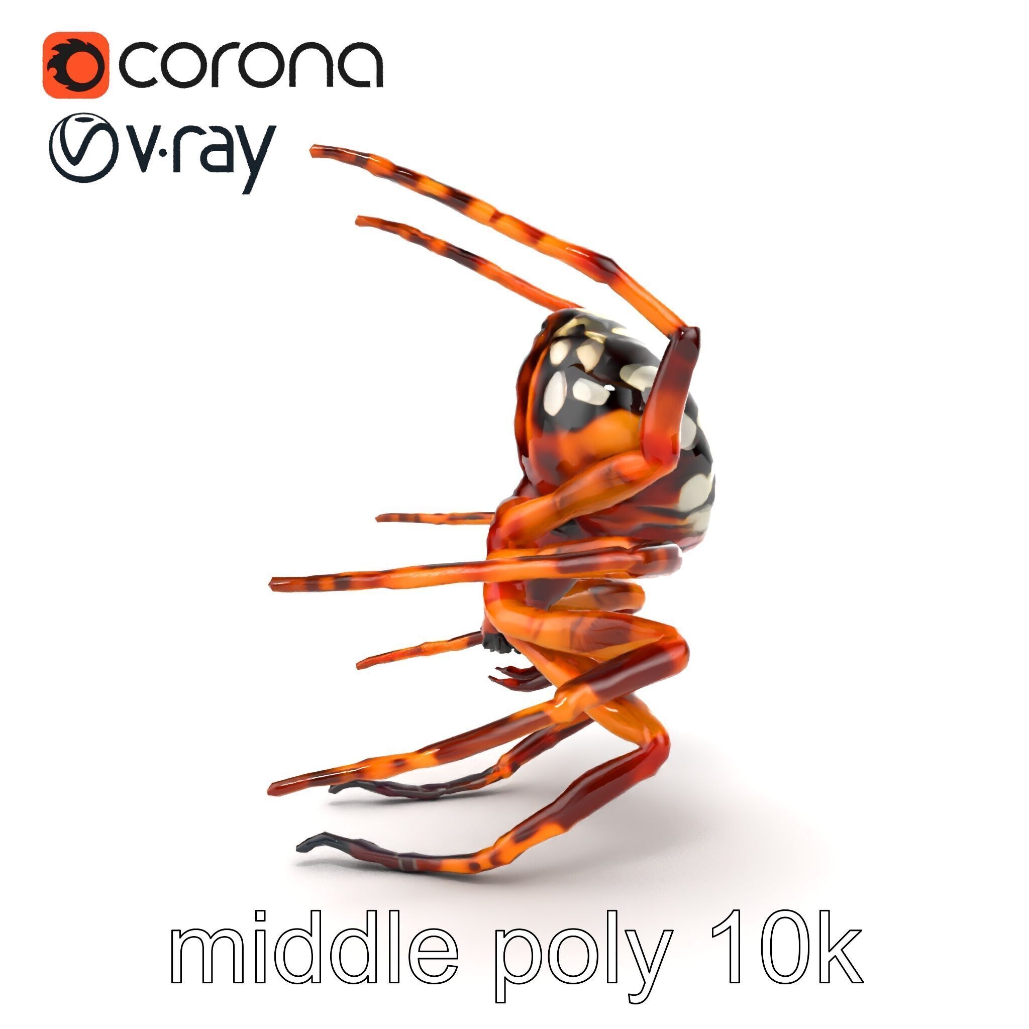 Orb-Weaver Spider Kaleidoscopic Colors model pack Low-poly 3D model_14