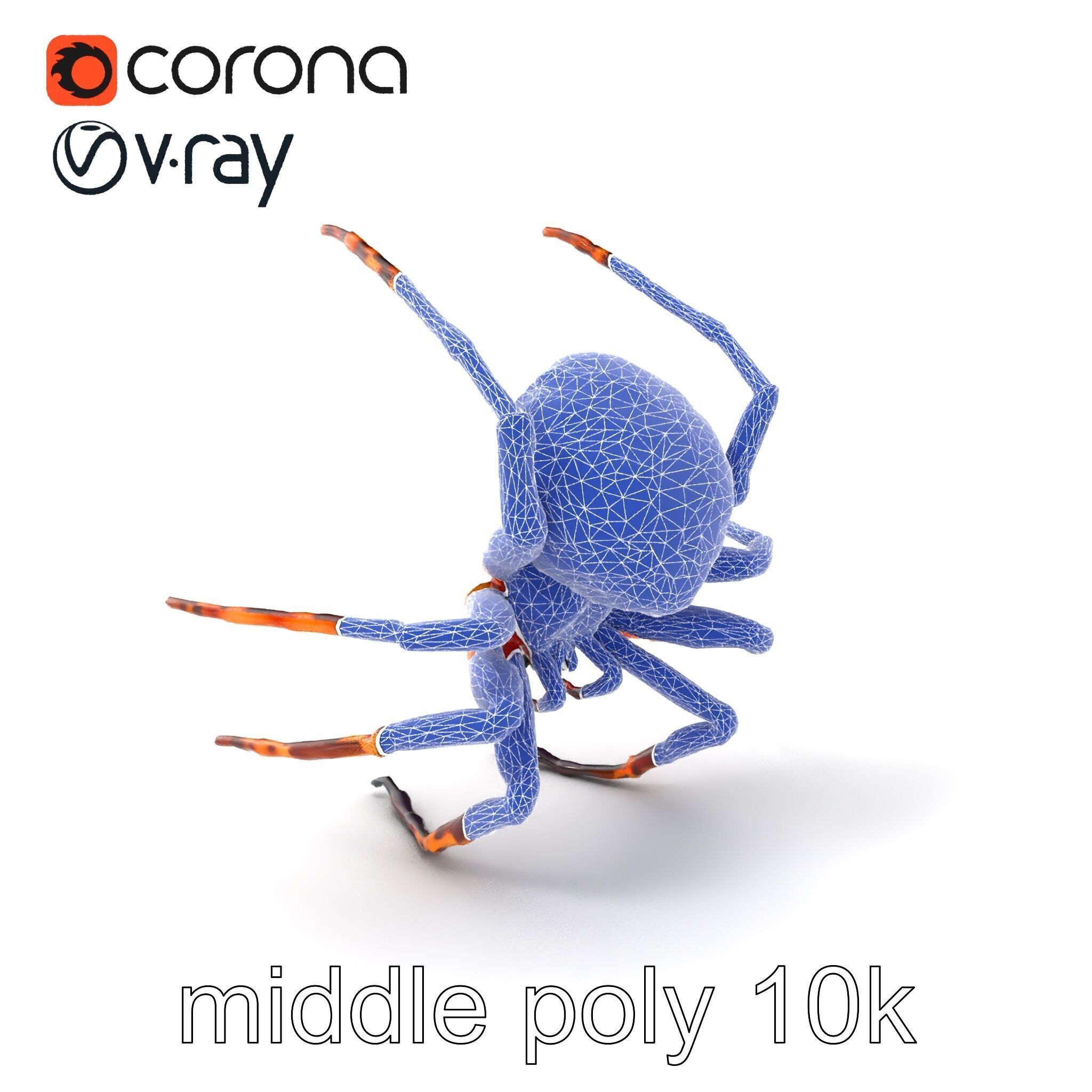 Orb-Weaver Spider Kaleidoscopic Colors model pack Low-poly 3D model_6