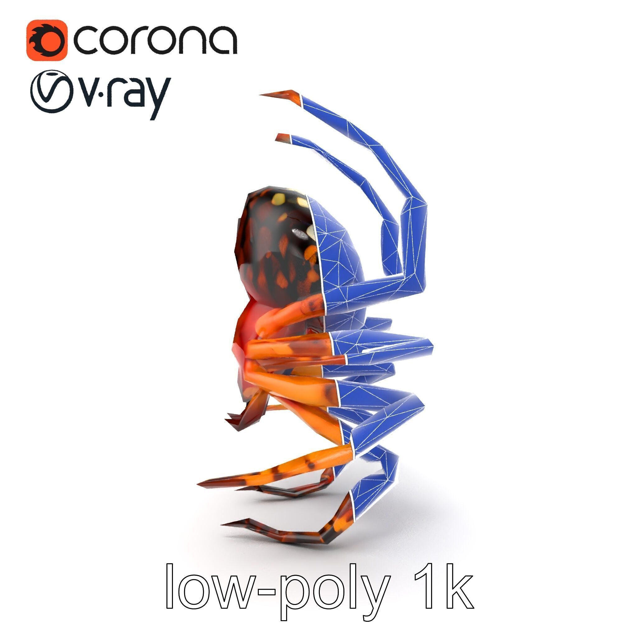 Orb-Weaver Spider Kaleidoscopic Colors model pack Low-poly 3D model_22