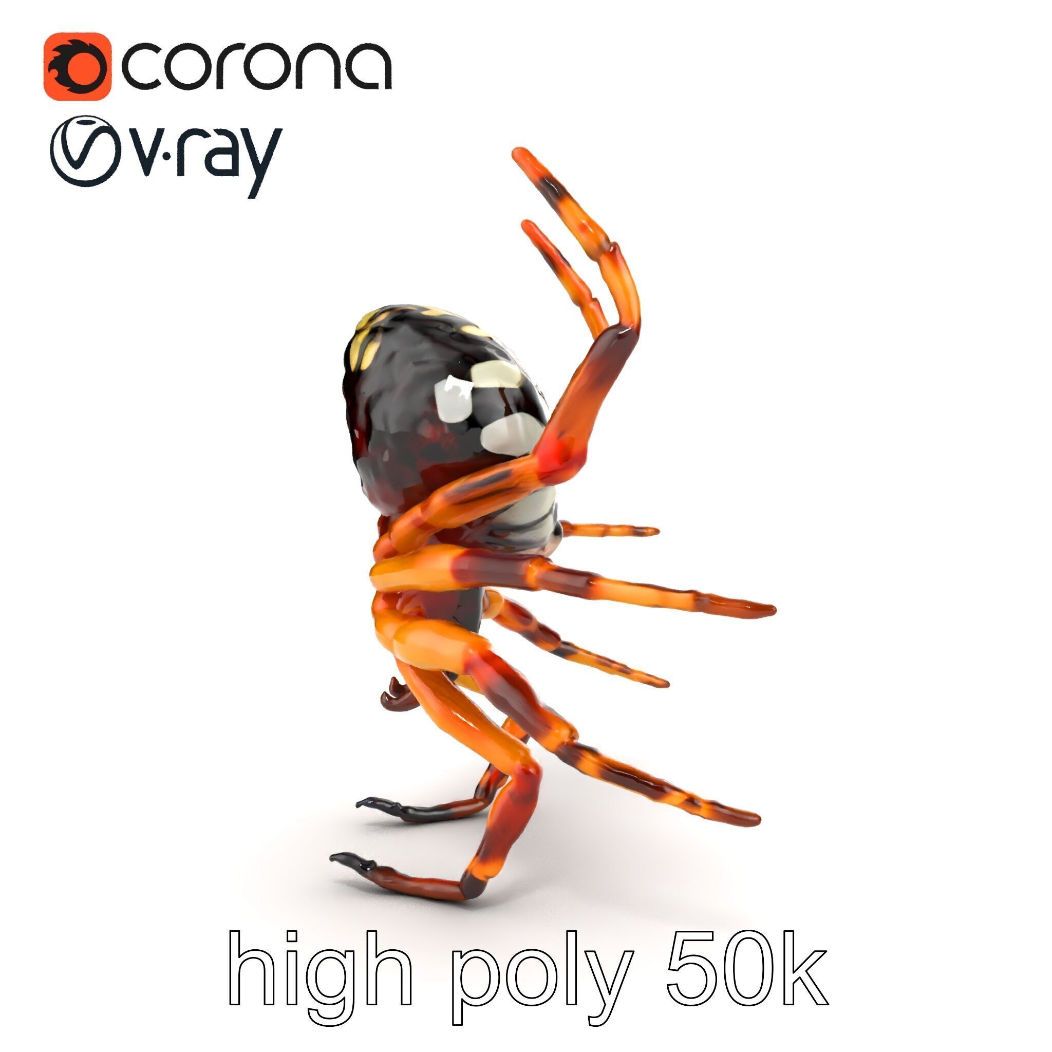 Orb-Weaver Spider Kaleidoscopic Colors model pack Low-poly 3D model_23