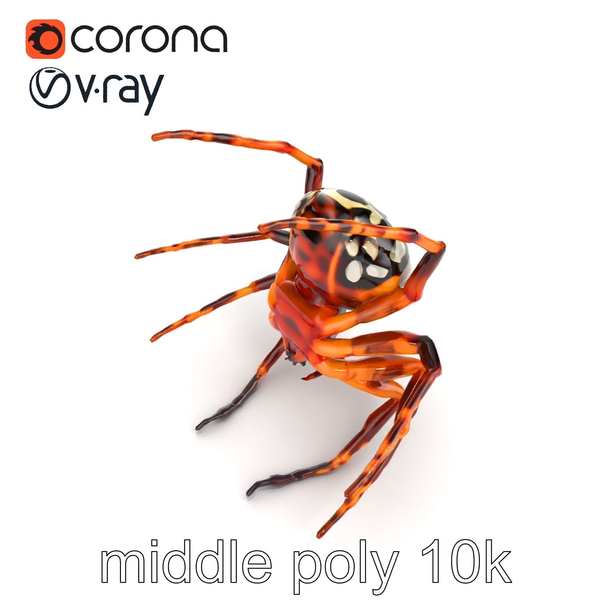 Orb-Weaver Spider Kaleidoscopic Colors model pack Low-poly 3D model_32