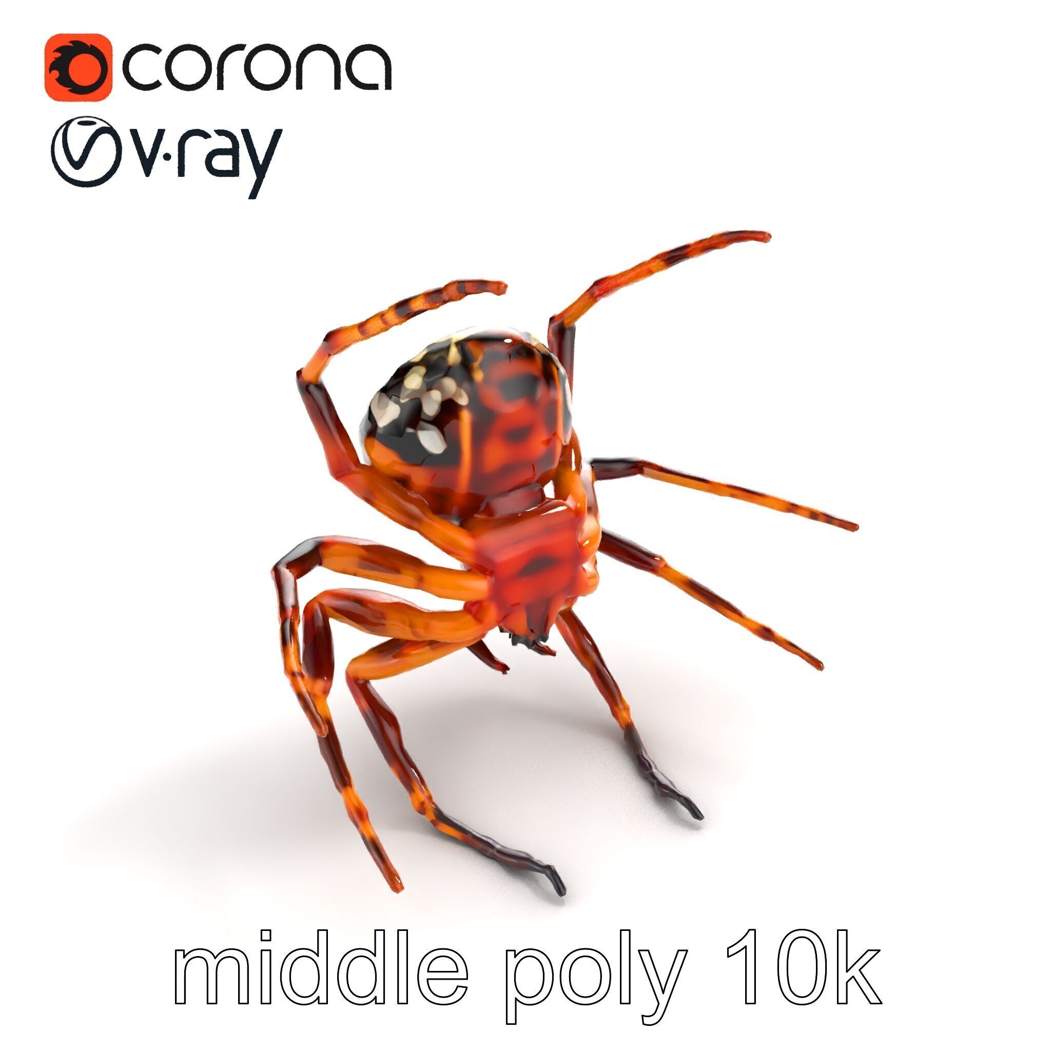 Orb-Weaver Spider Kaleidoscopic Colors model pack Low-poly 3D model_8