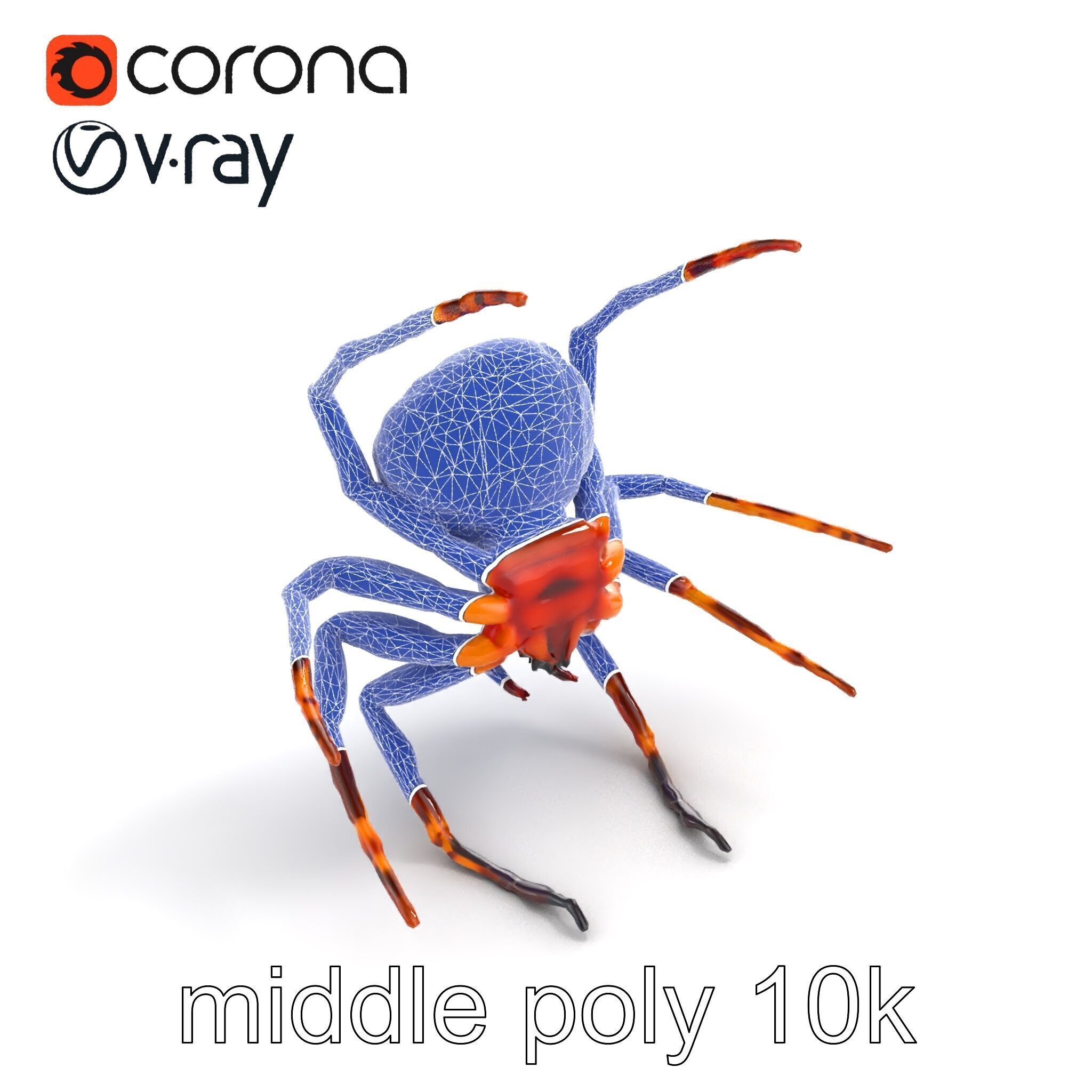 Orb-Weaver Spider Kaleidoscopic Colors model pack Low-poly 3D model_29