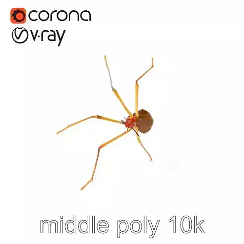 Daddy Longlegs Spider Minimalistic Model Pack Low-poly 3D model