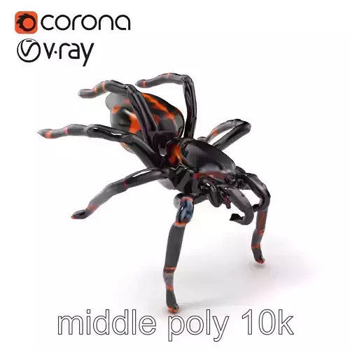 Sydney Funnel-Web Spider Realistic model pack