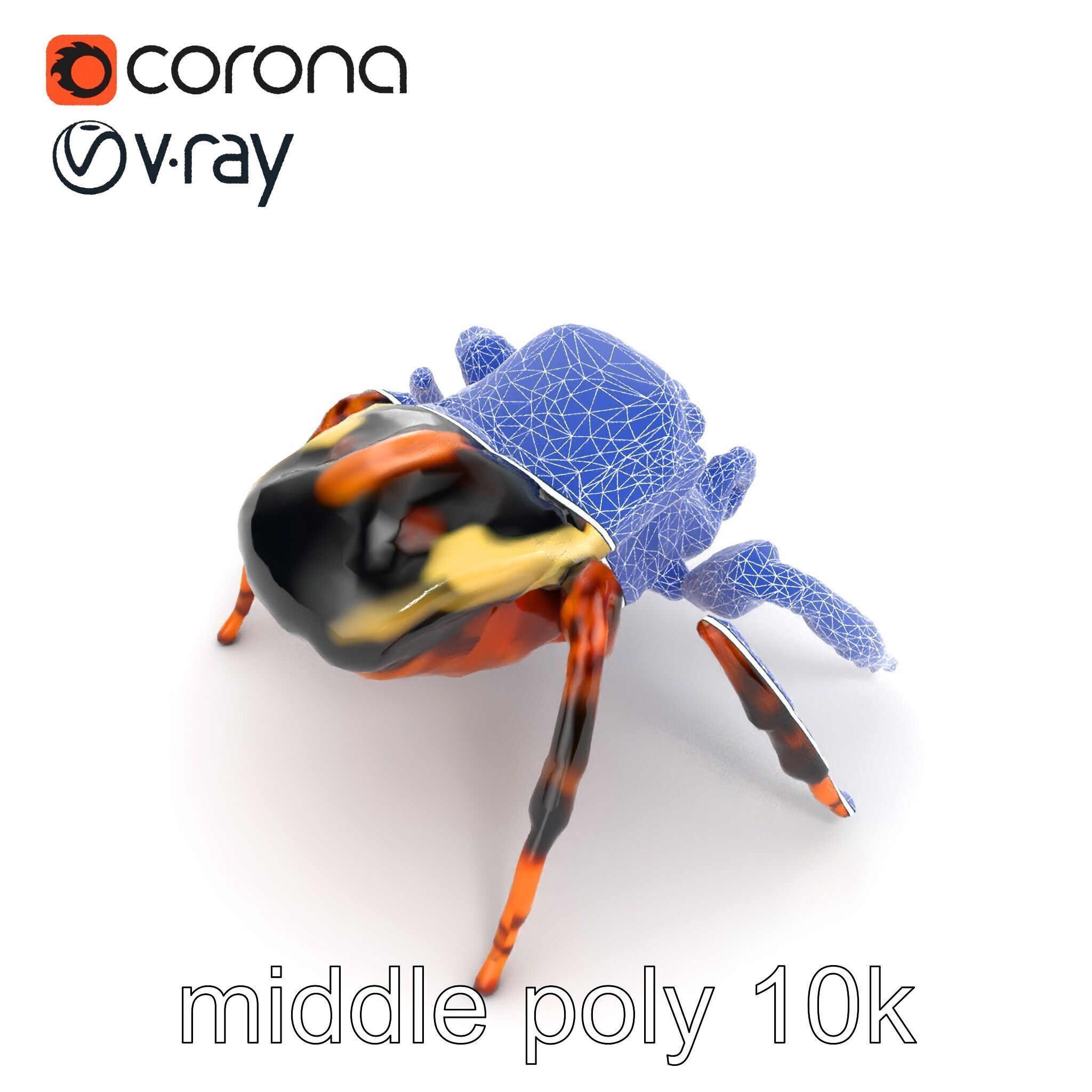 Jumping Spider Colorful Pattern Agile Leaping model pack Low-poly 3D model_11