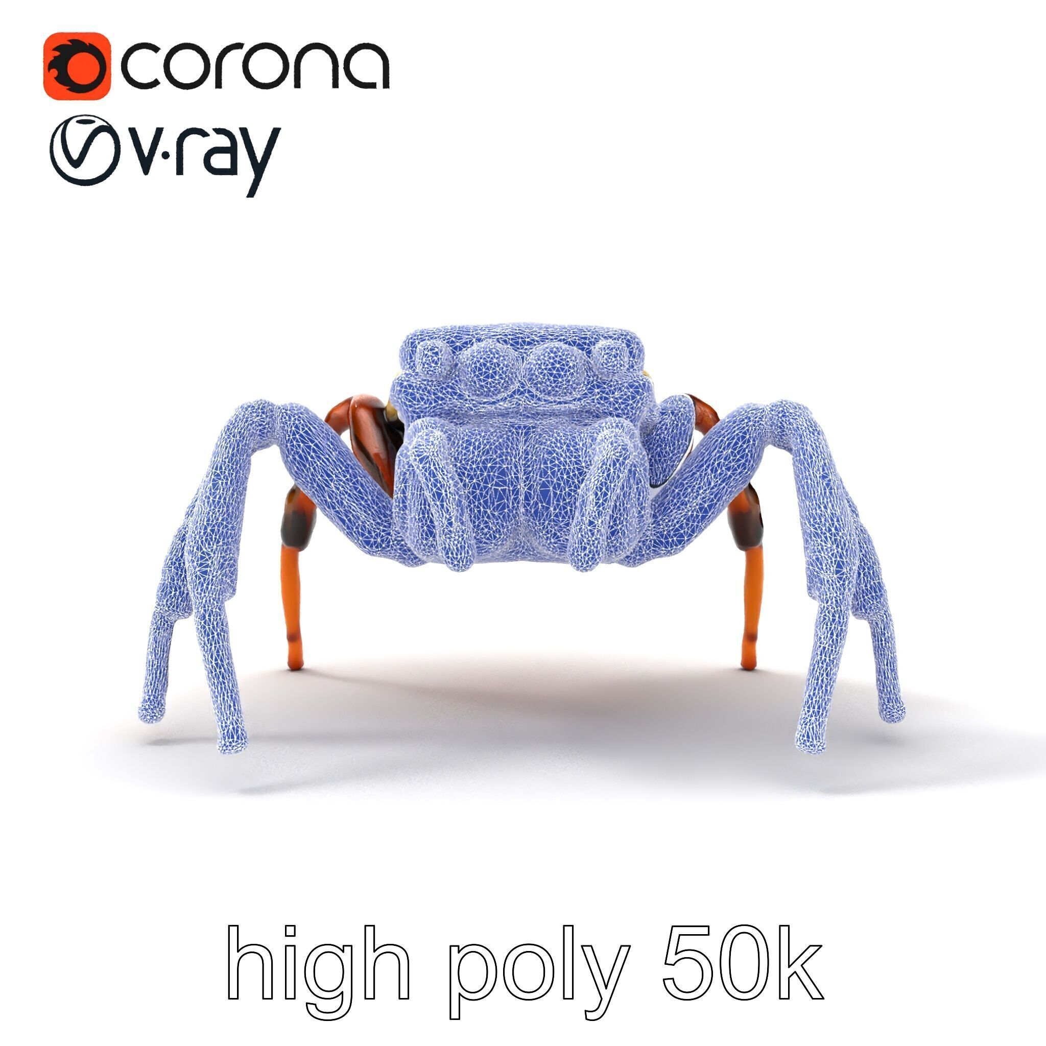 Jumping Spider Colorful Pattern Agile Leaping model pack Low-poly 3D model_29