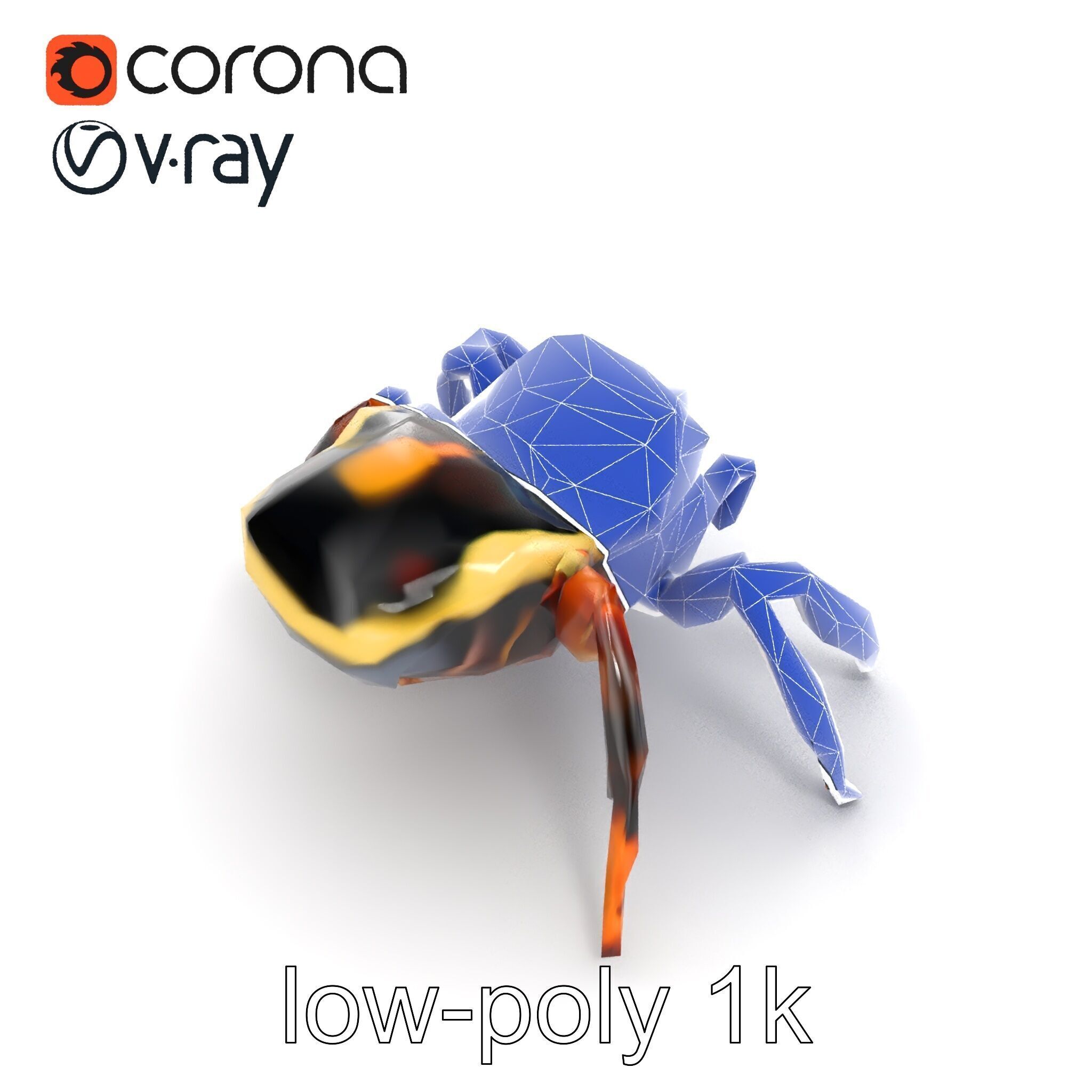 Jumping Spider Colorful Pattern Agile Leaping model pack Low-poly 3D model_28